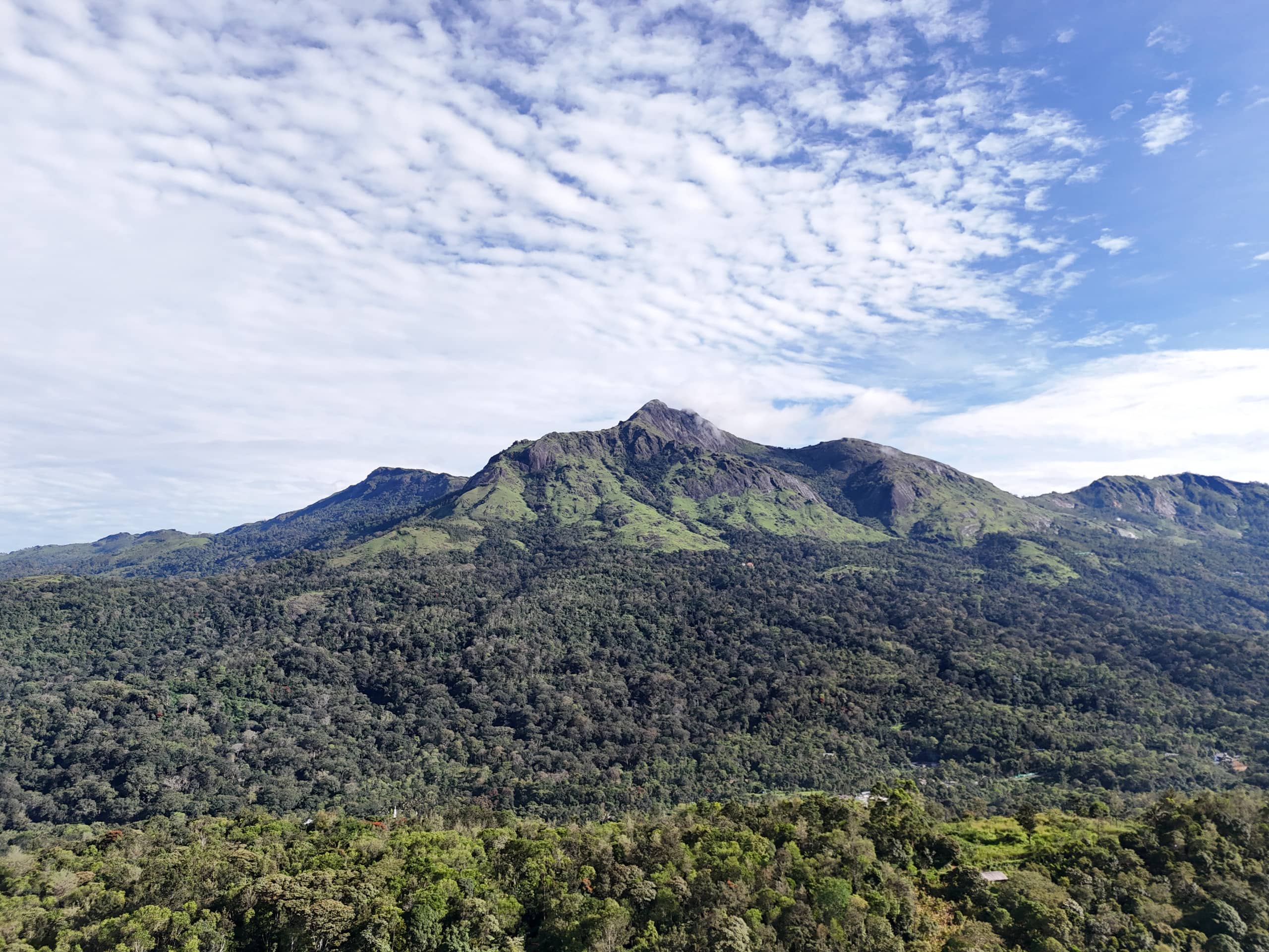 Family stay in Bisonvalley, Munnar 37