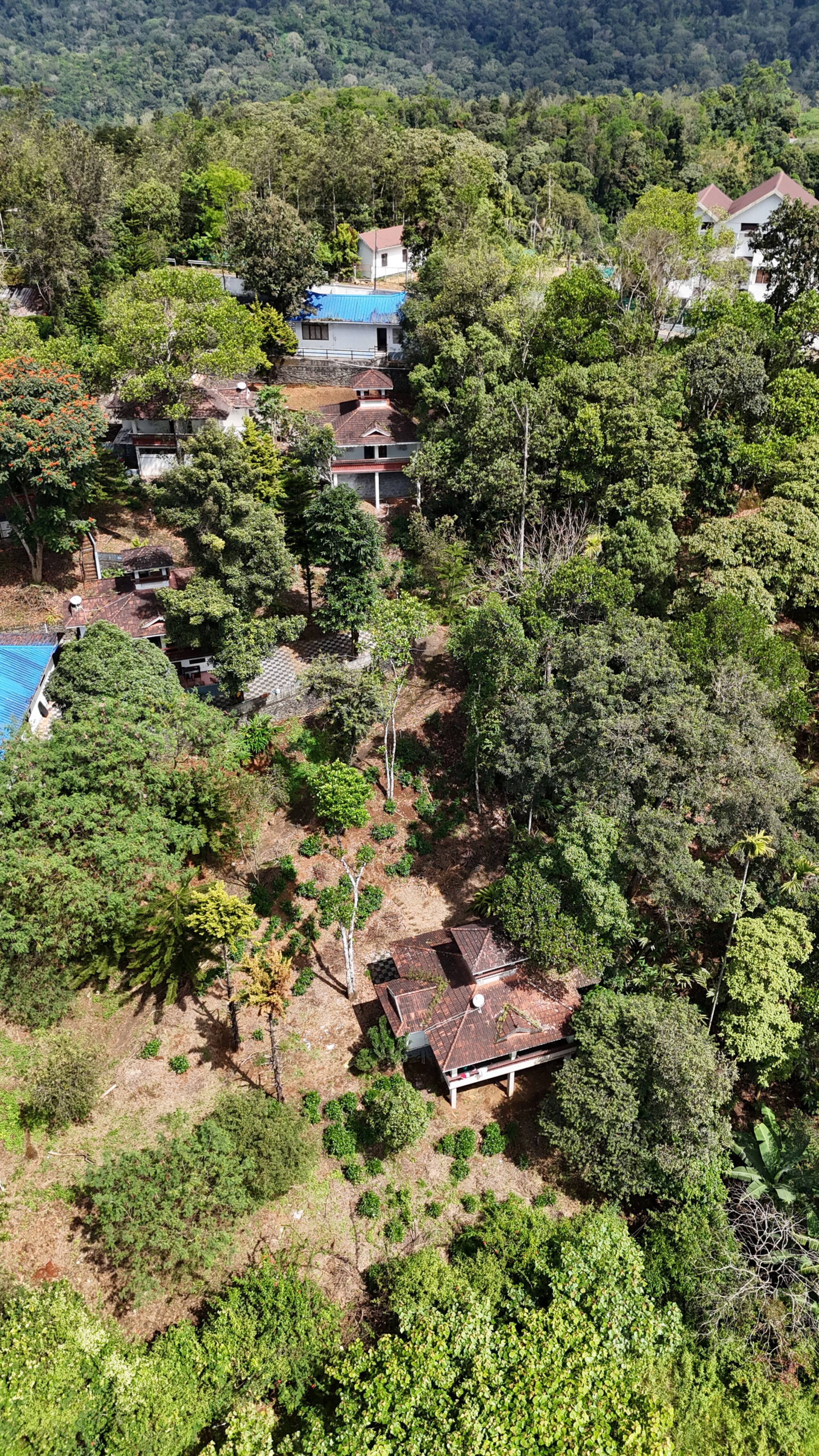 Family stay in Bisonvalley, Munnar 38