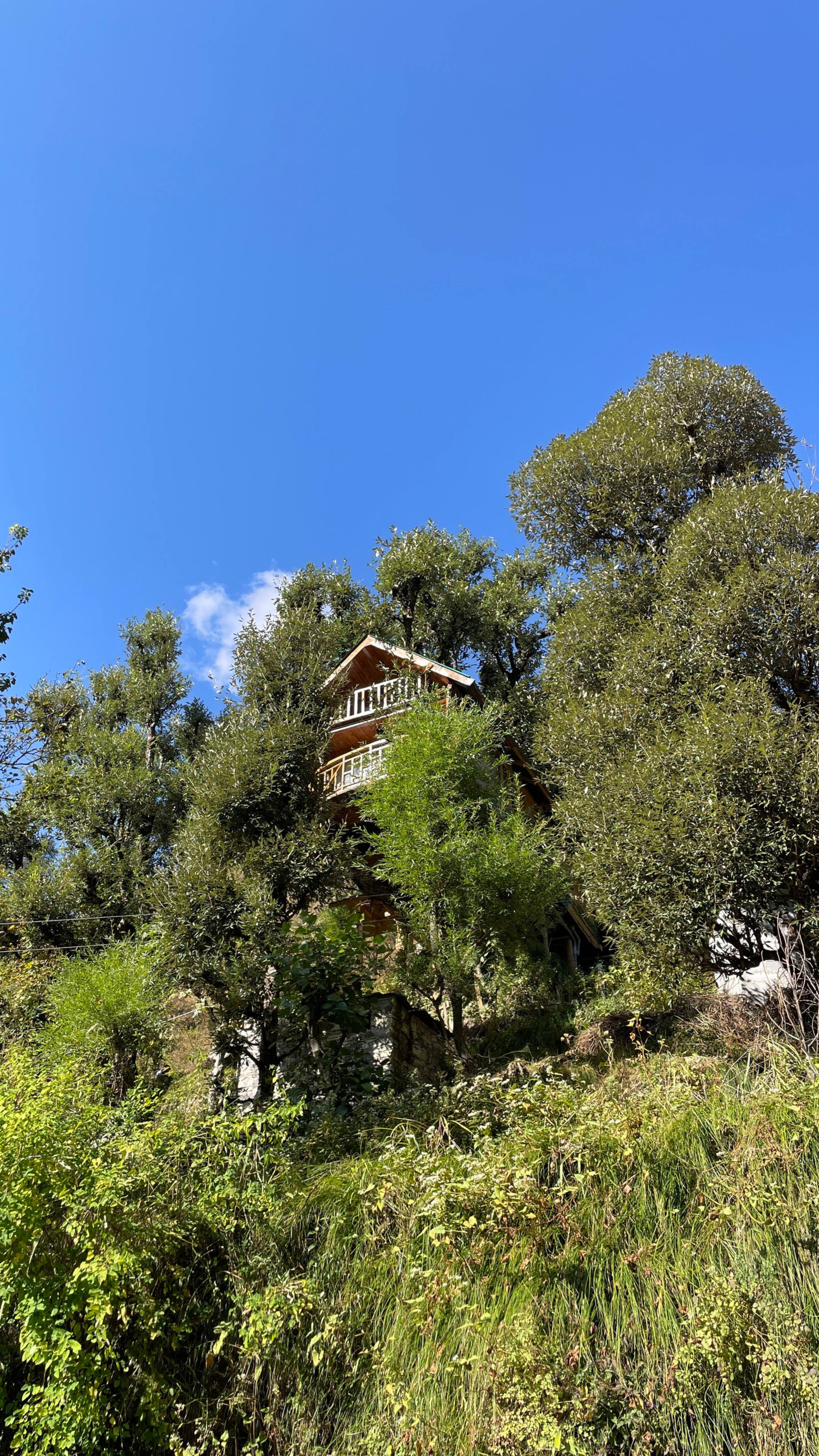 Little Wood Treehouse- Jannat 10