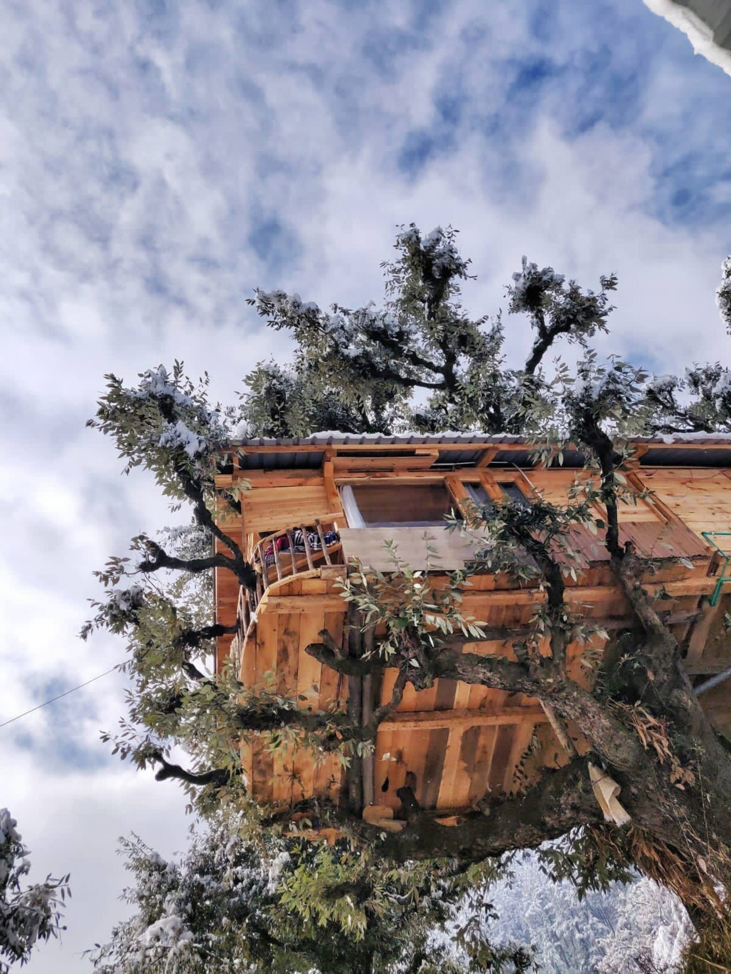 Little Wood Treehouse- Jannat 8