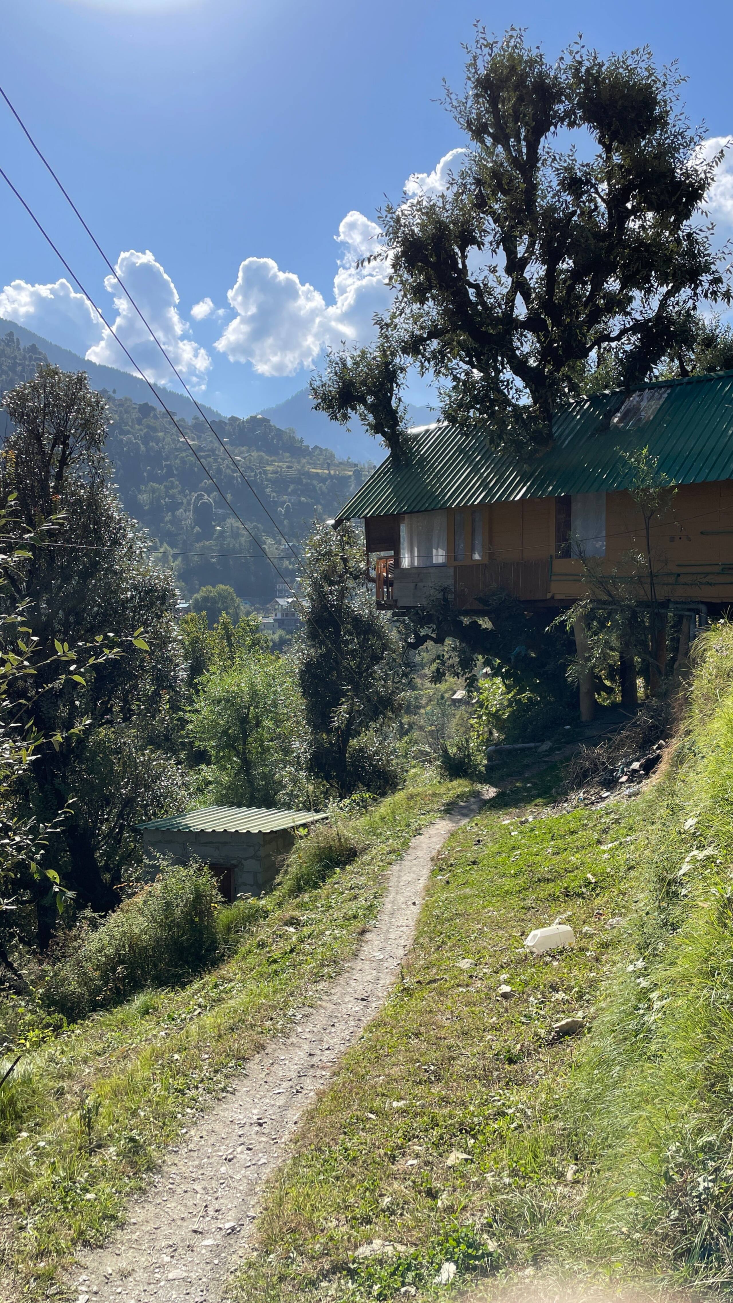Little Wood Treehouse- Jannat — photo 4