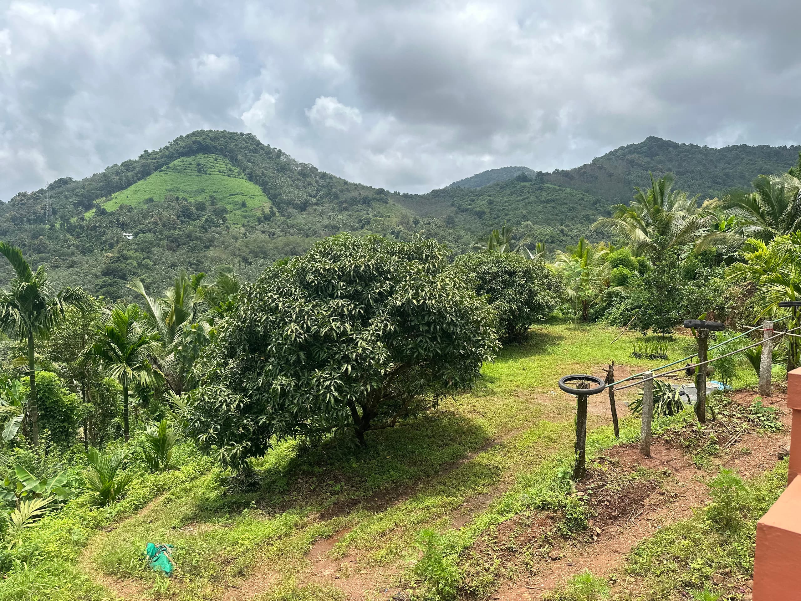 Suhail’s farm stay 7
