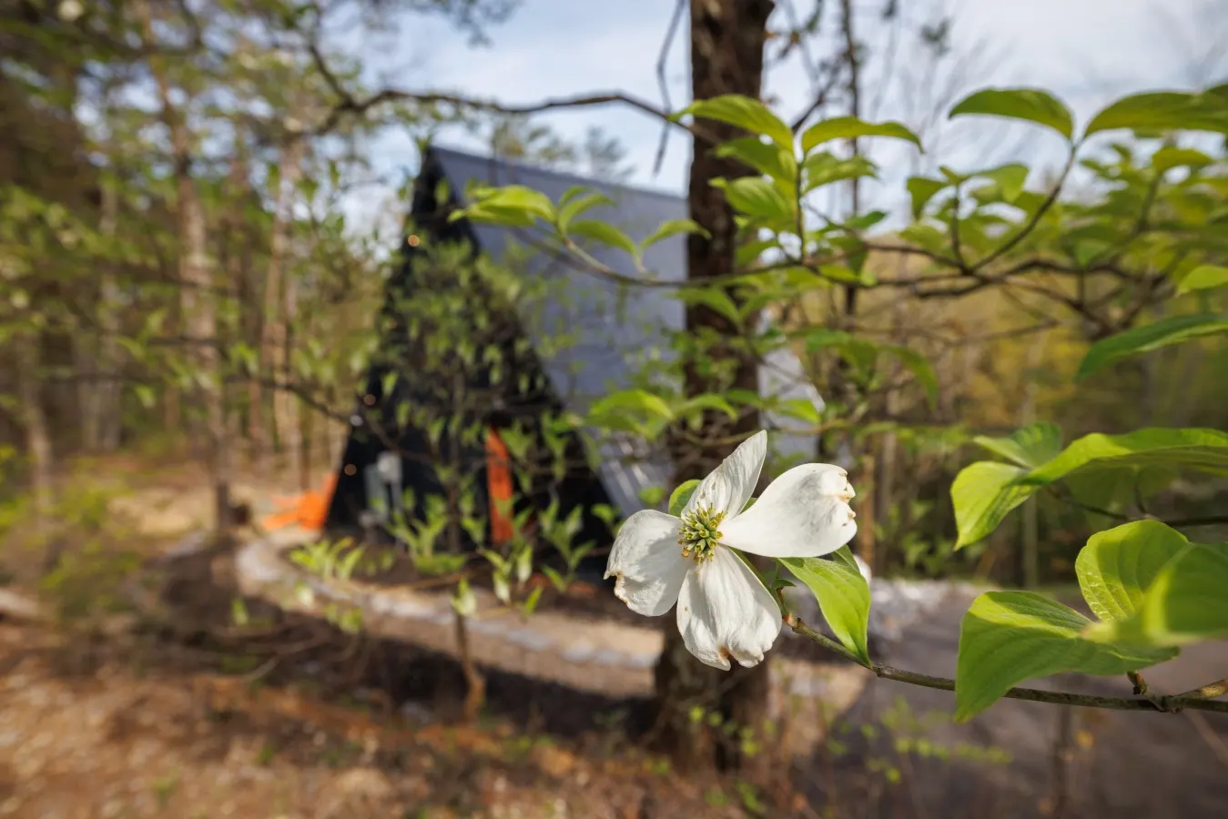 Romantic Smoky Mtn A Frame Hot Tub Views Fire Pit 1