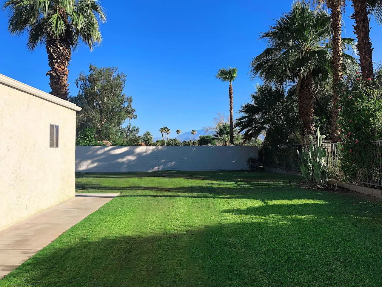 The Pearsall: Mid-Century, Pool, Backyard, Pets OK 4