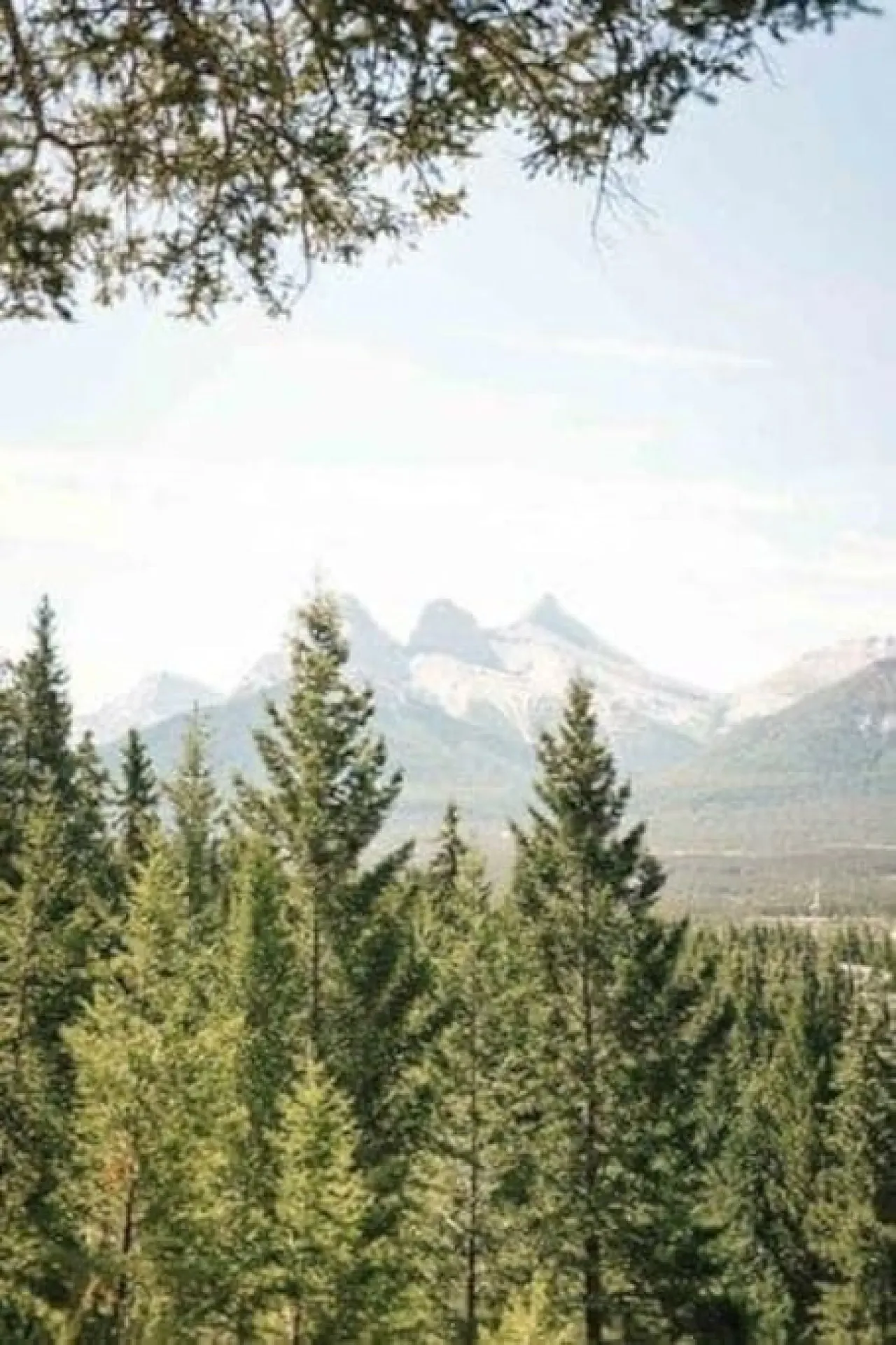 Mountain View Condo Near Banff & Canmore 17