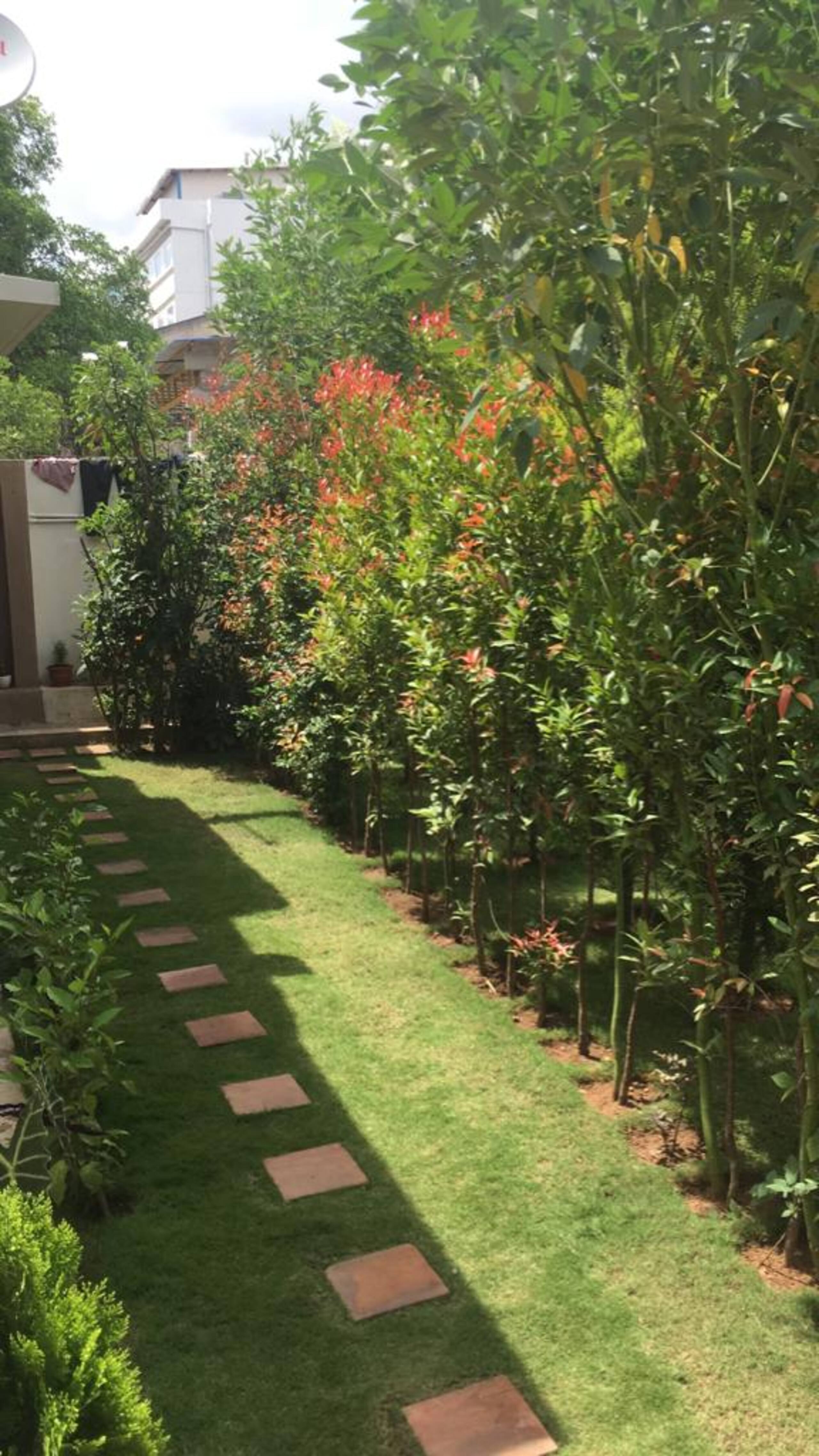 JM's Inn: Prime spot holiday home with a garden 11