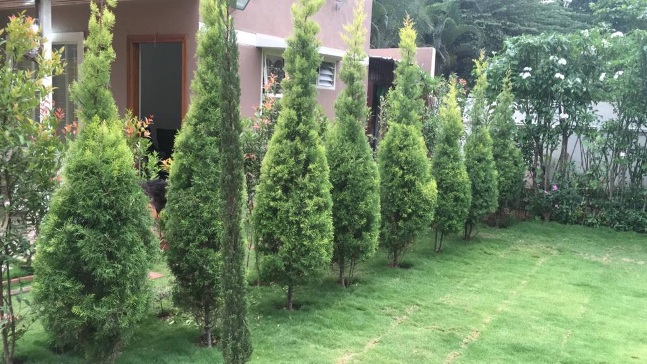 JM's Inn: Prime spot holiday home with a garden 10