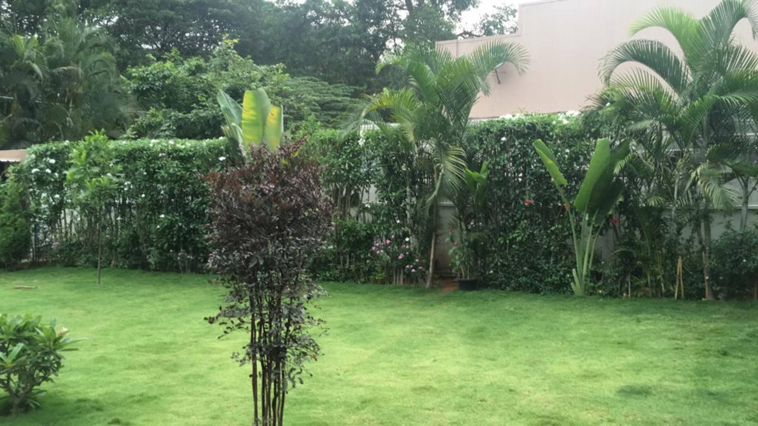JM's Inn: Prime spot holiday home with a garden 22