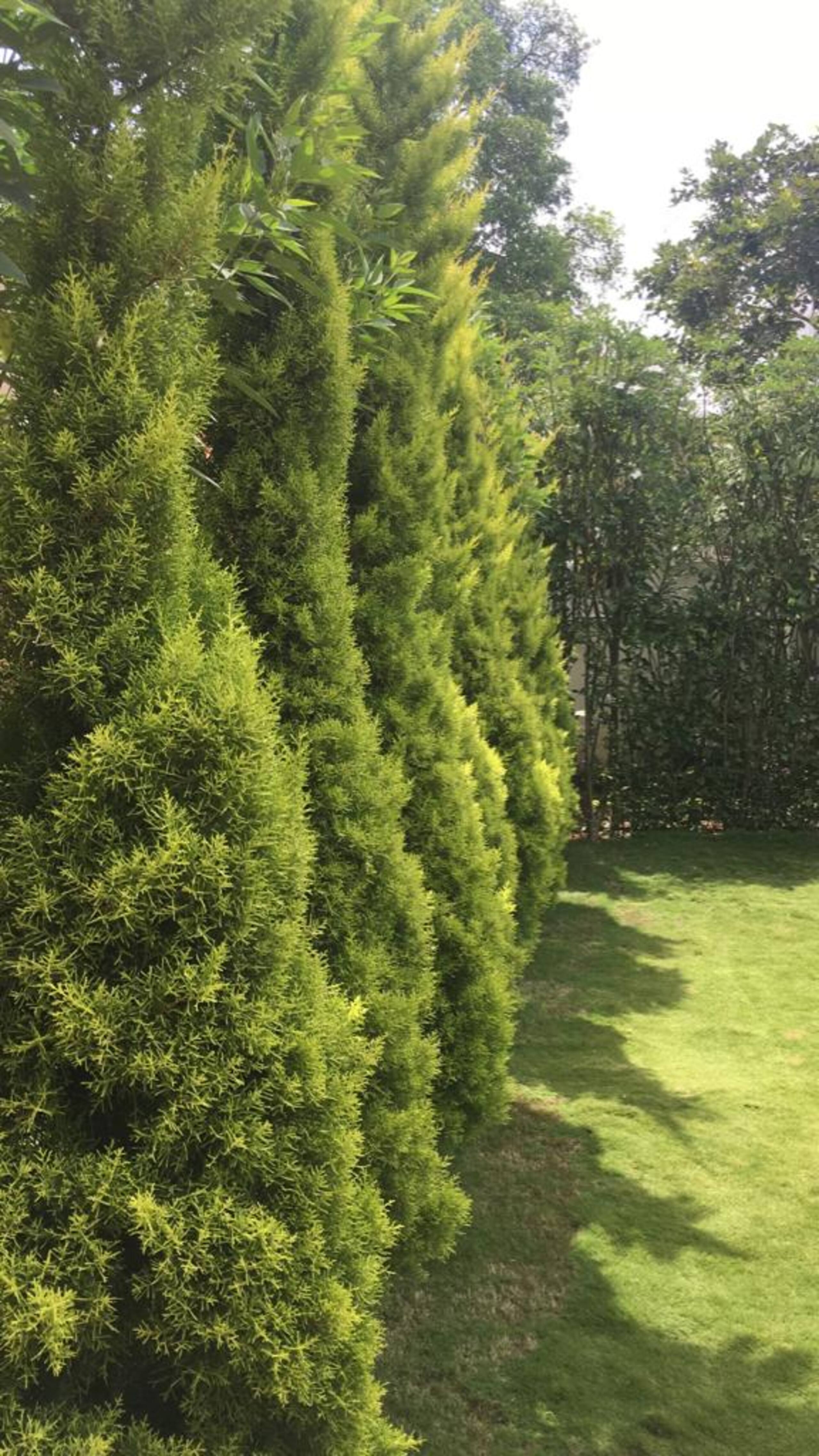 JM's Inn: Prime spot holiday home with a garden 12