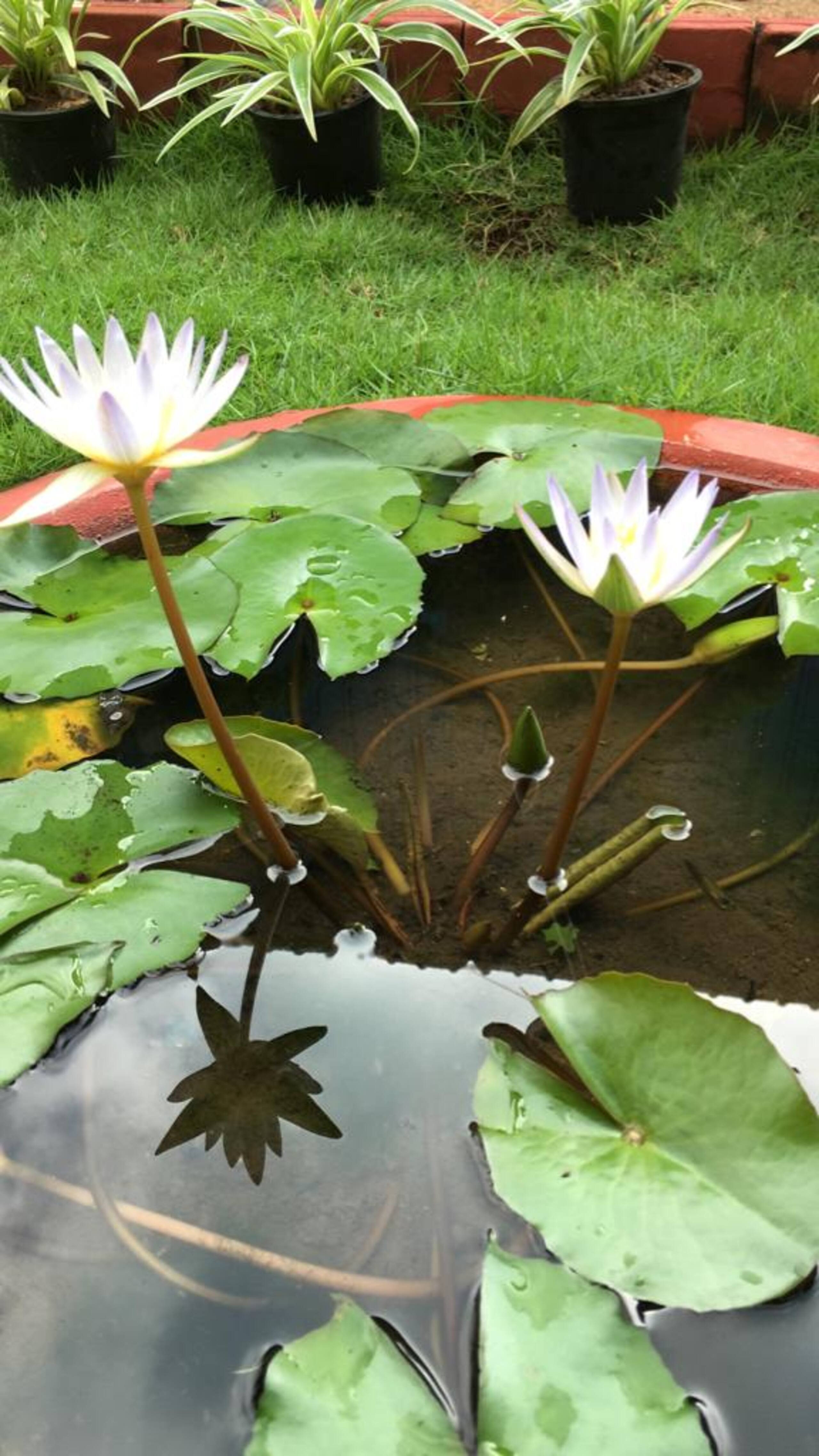 JM's Inn: Prime spot holiday home with a garden 8