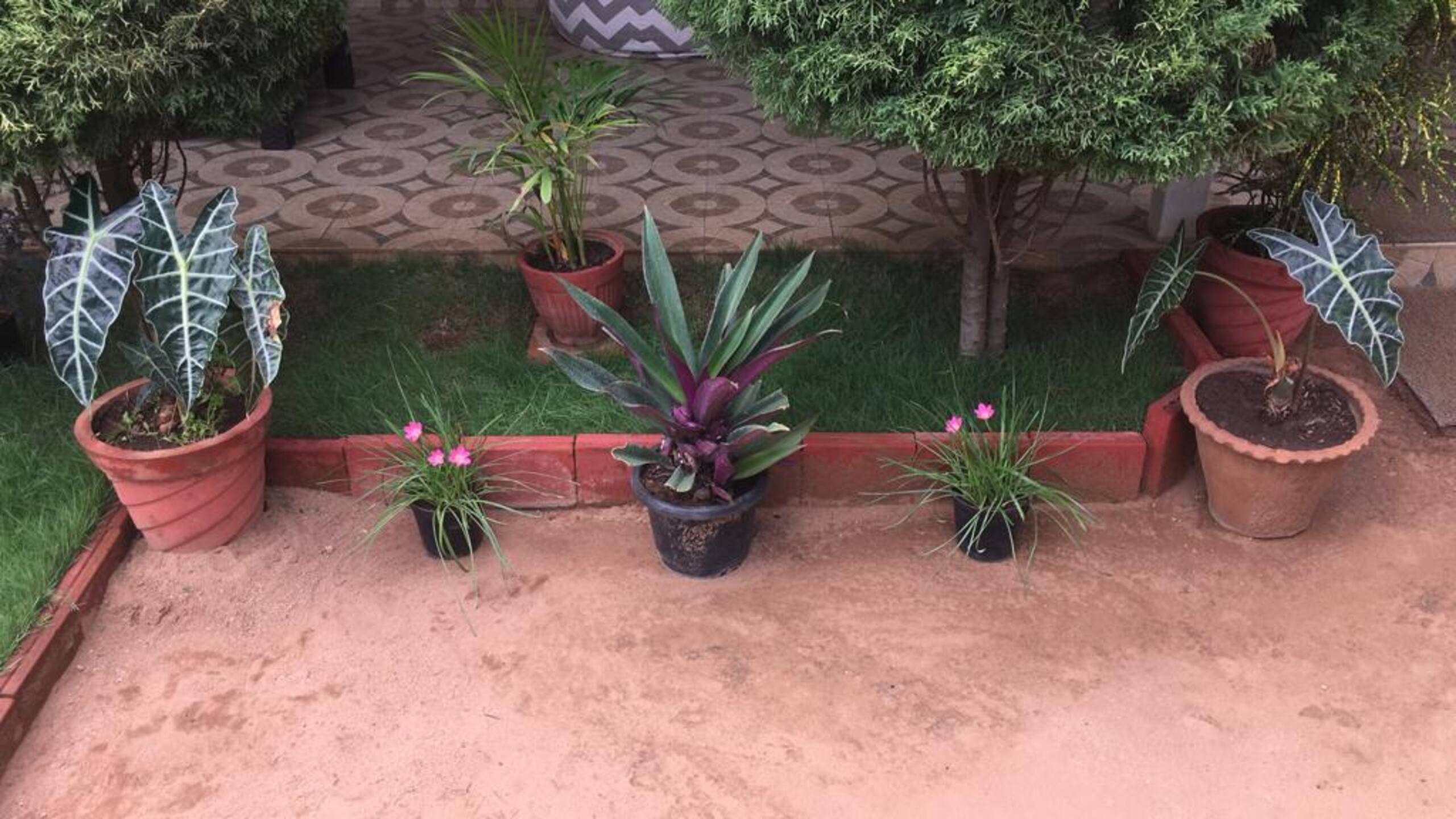 JM's Inn: Prime spot holiday home with a garden 31
