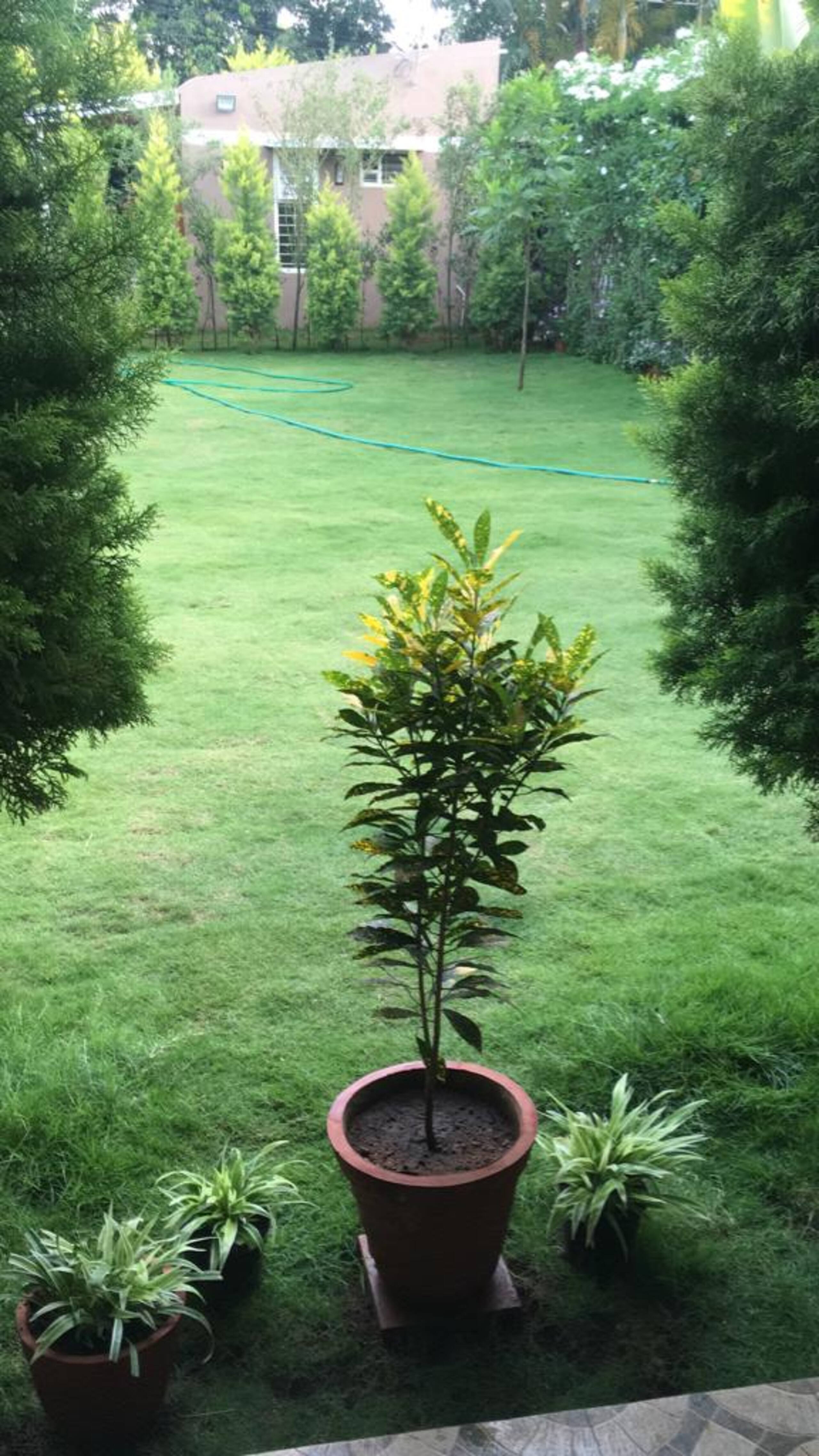 JM's Inn: Prime spot holiday home with a garden 32