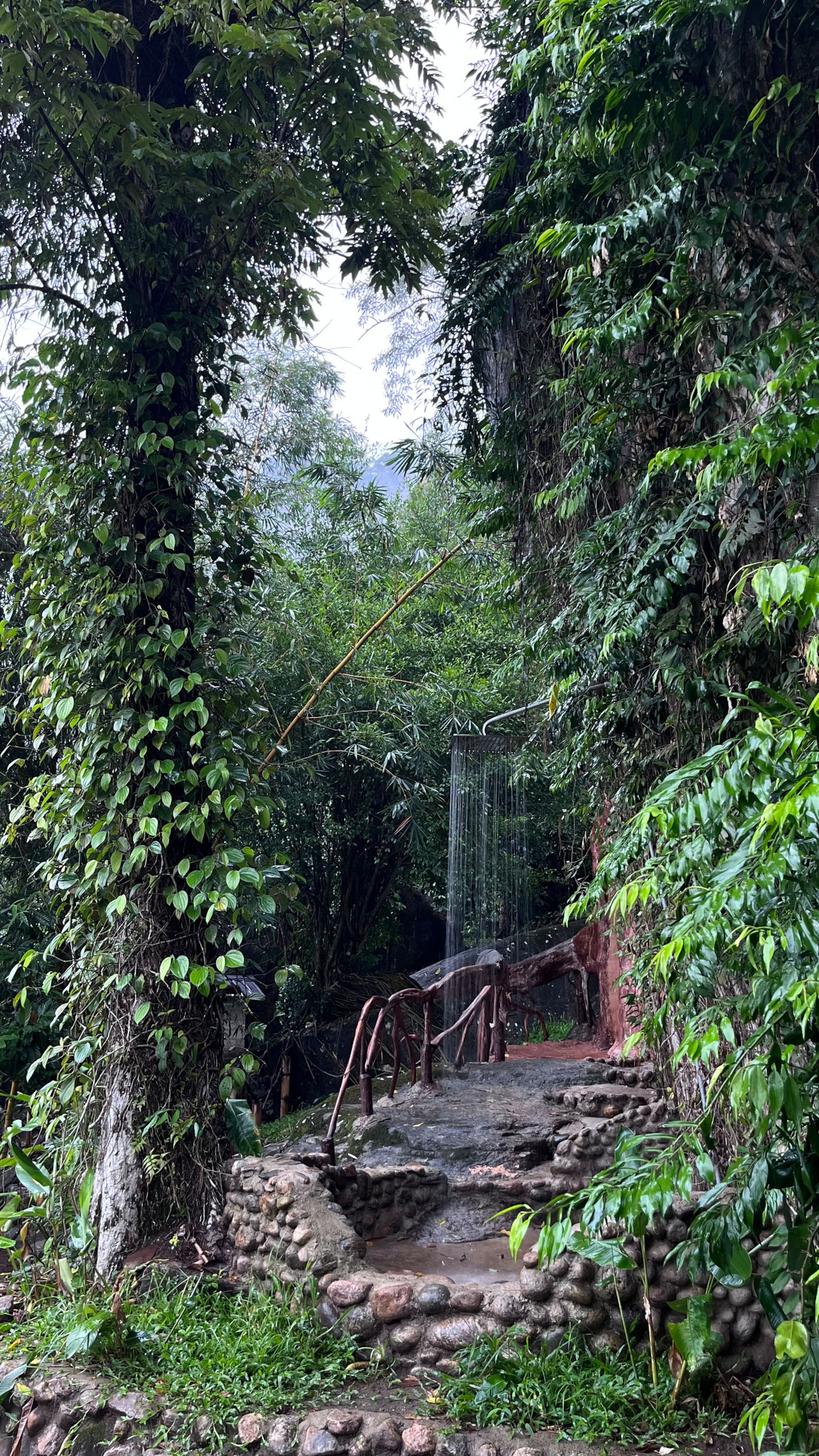 Munnar jungle stay wildmysteries 20