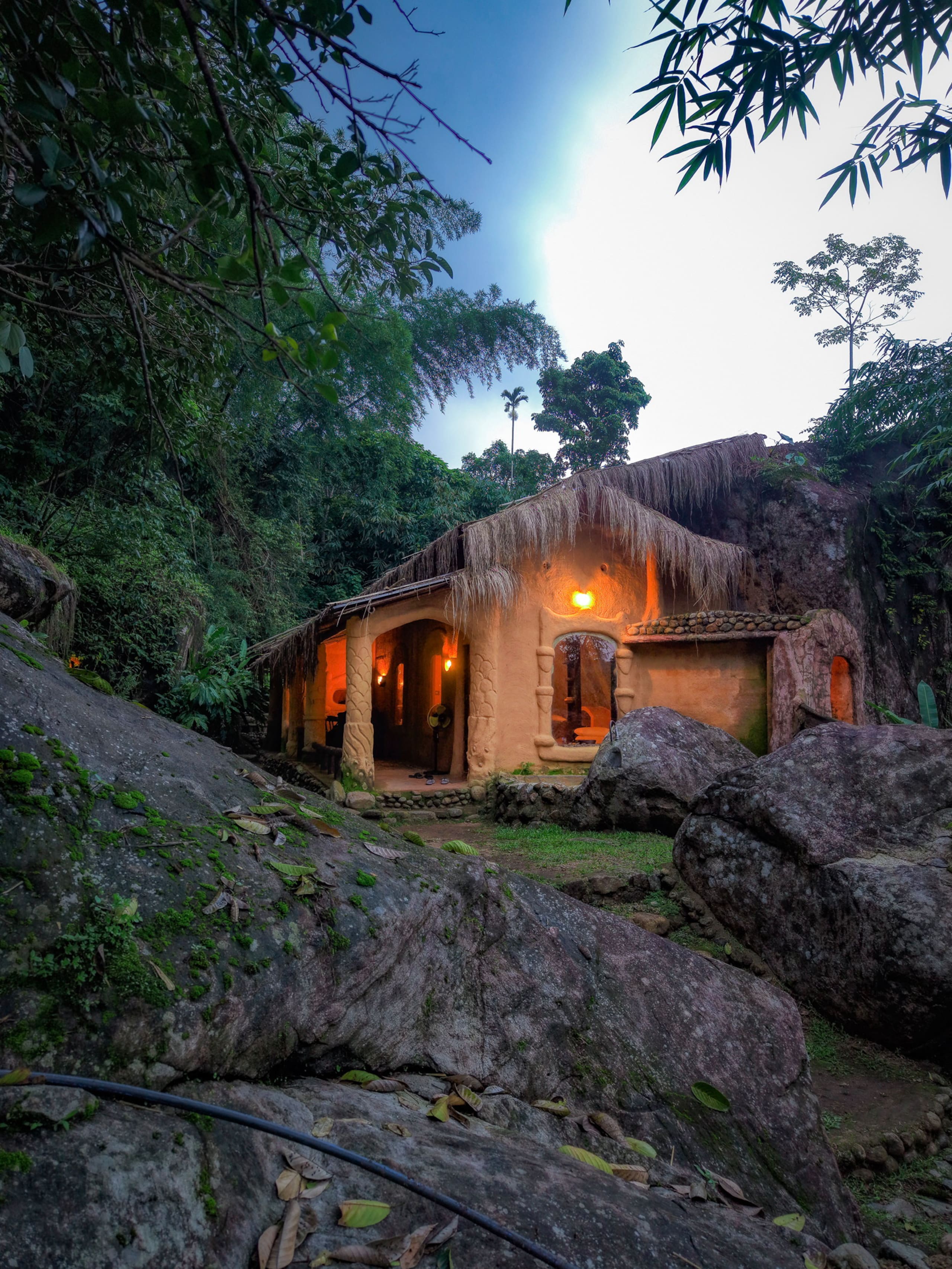Munnar jungle stay wildmysteries 1