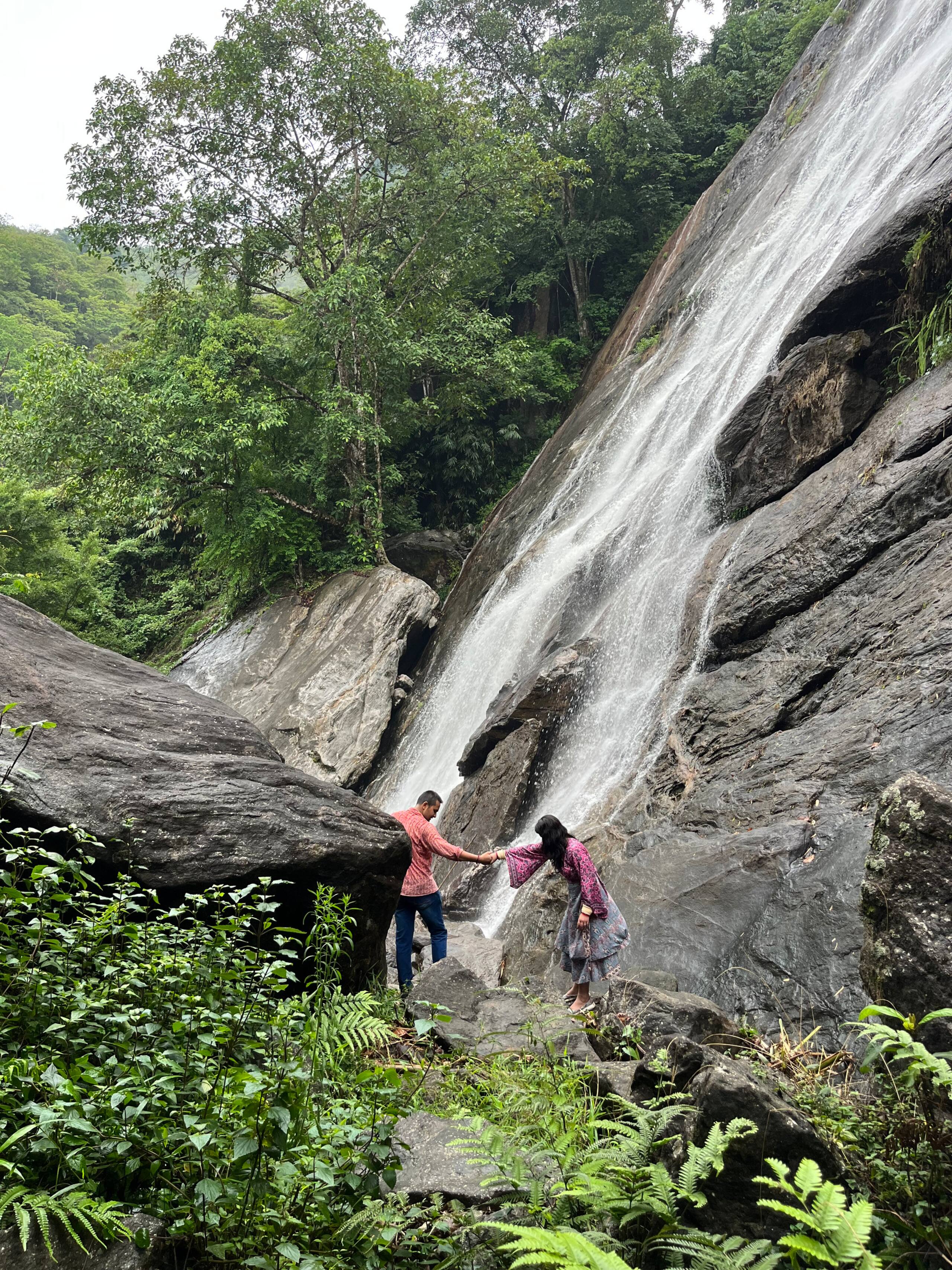 Munnar jungle stay wildmysteries 16