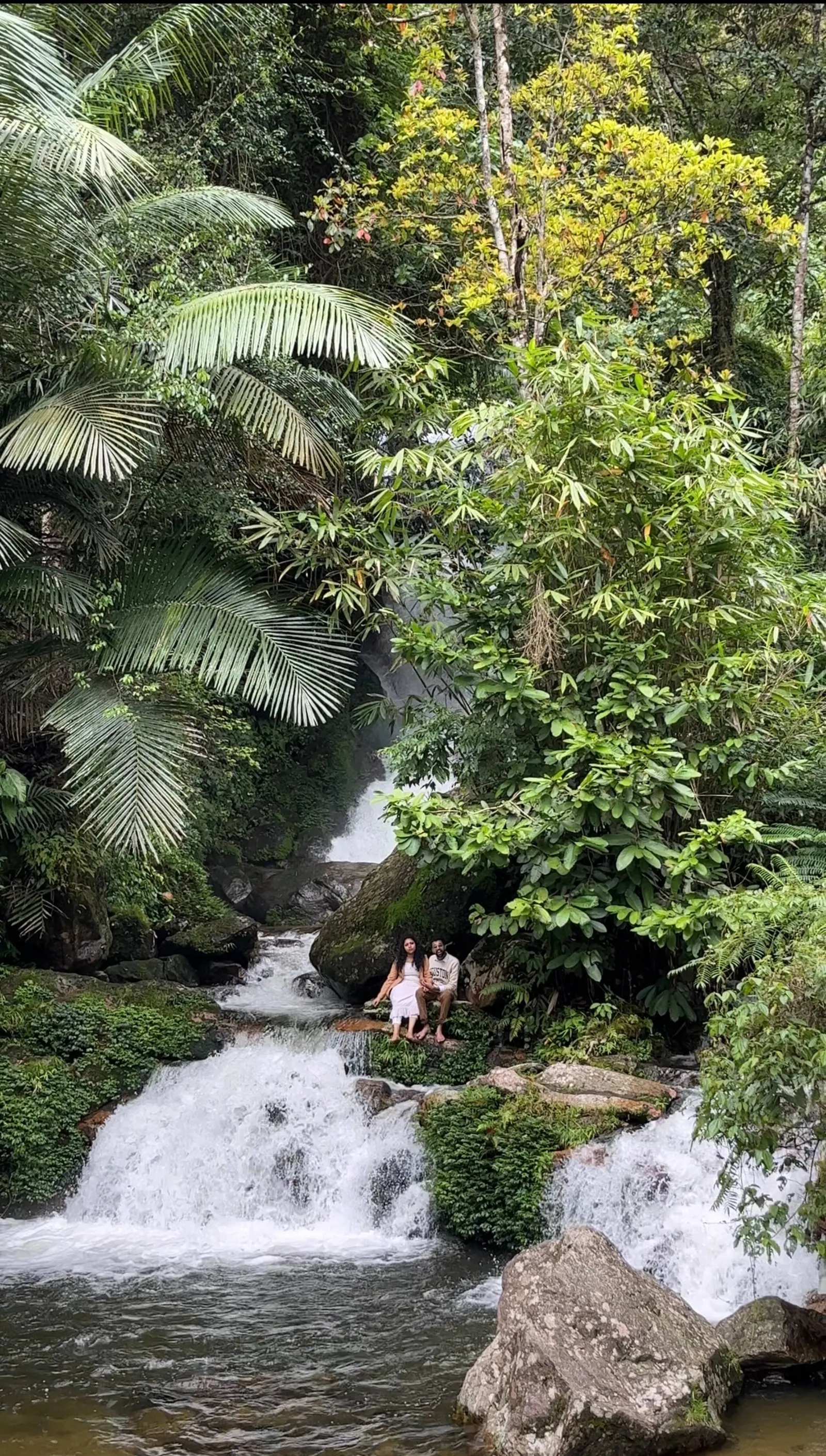 Munnar jungle stay wildmysteries 7