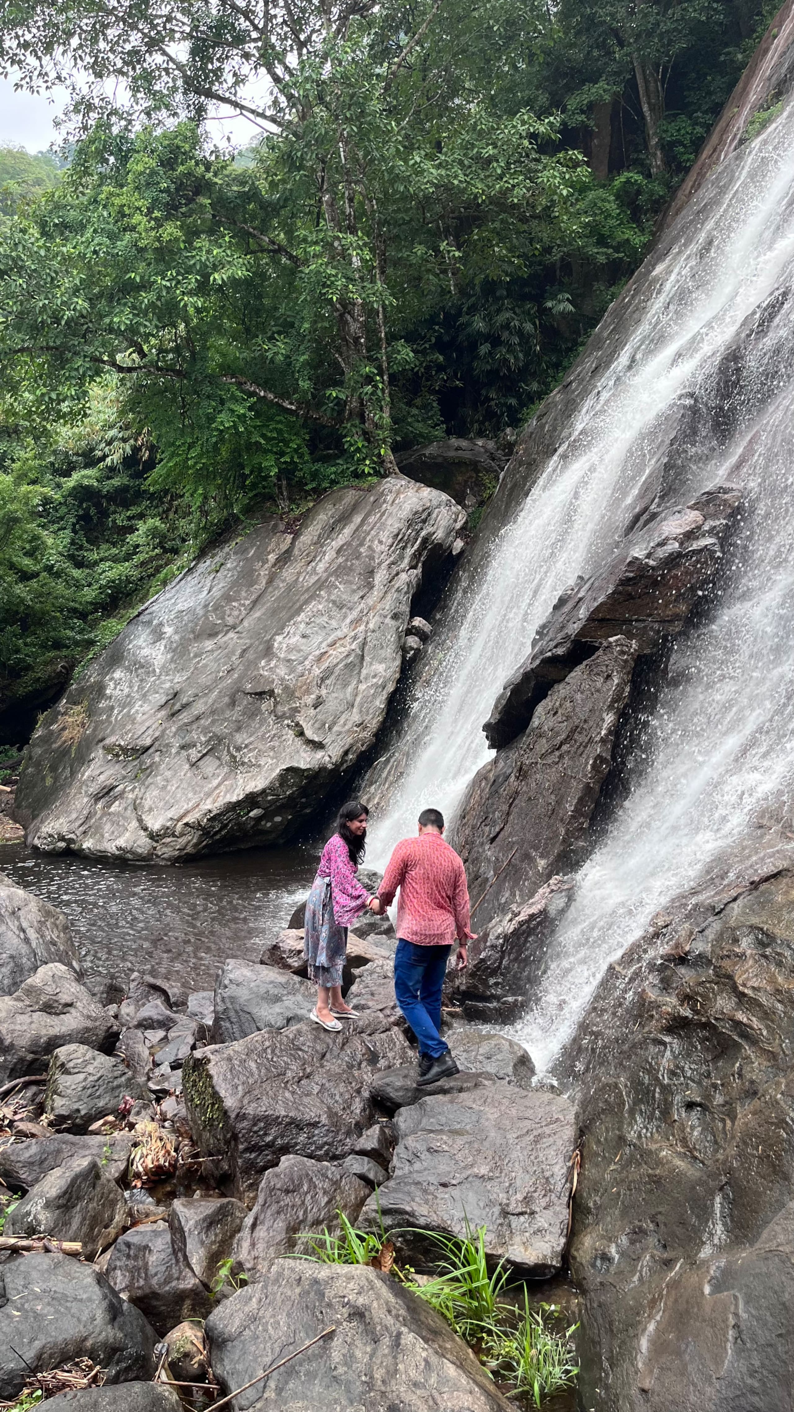 Munnar jungle stay wildmysteries 23