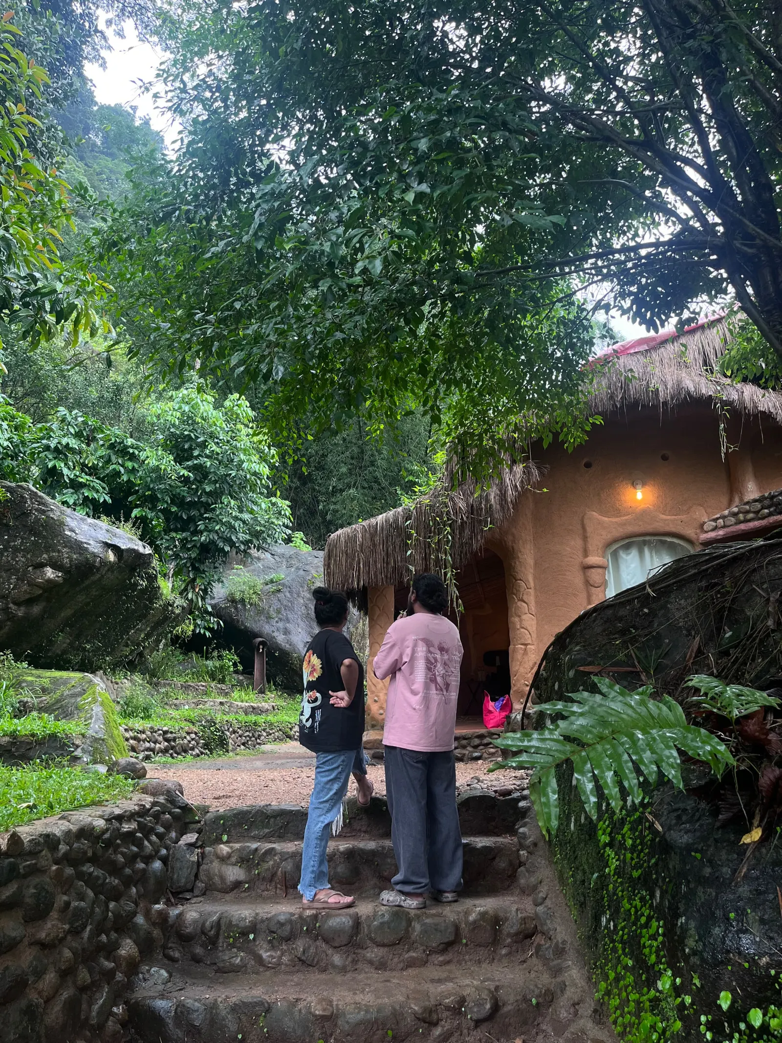 Munnar jungle stay wildmysteries 21
