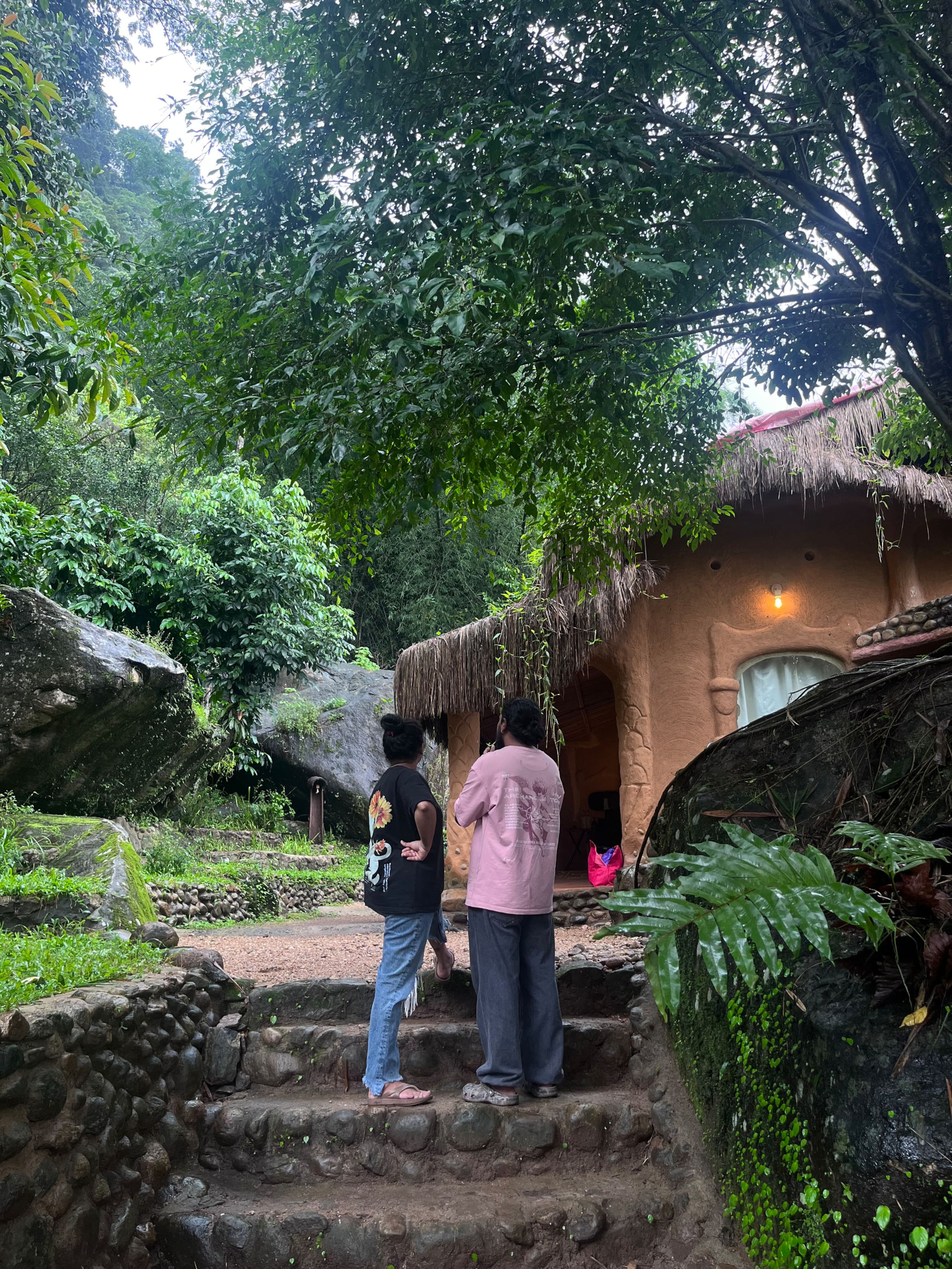 Munnar jungle stay wildmysteries 21