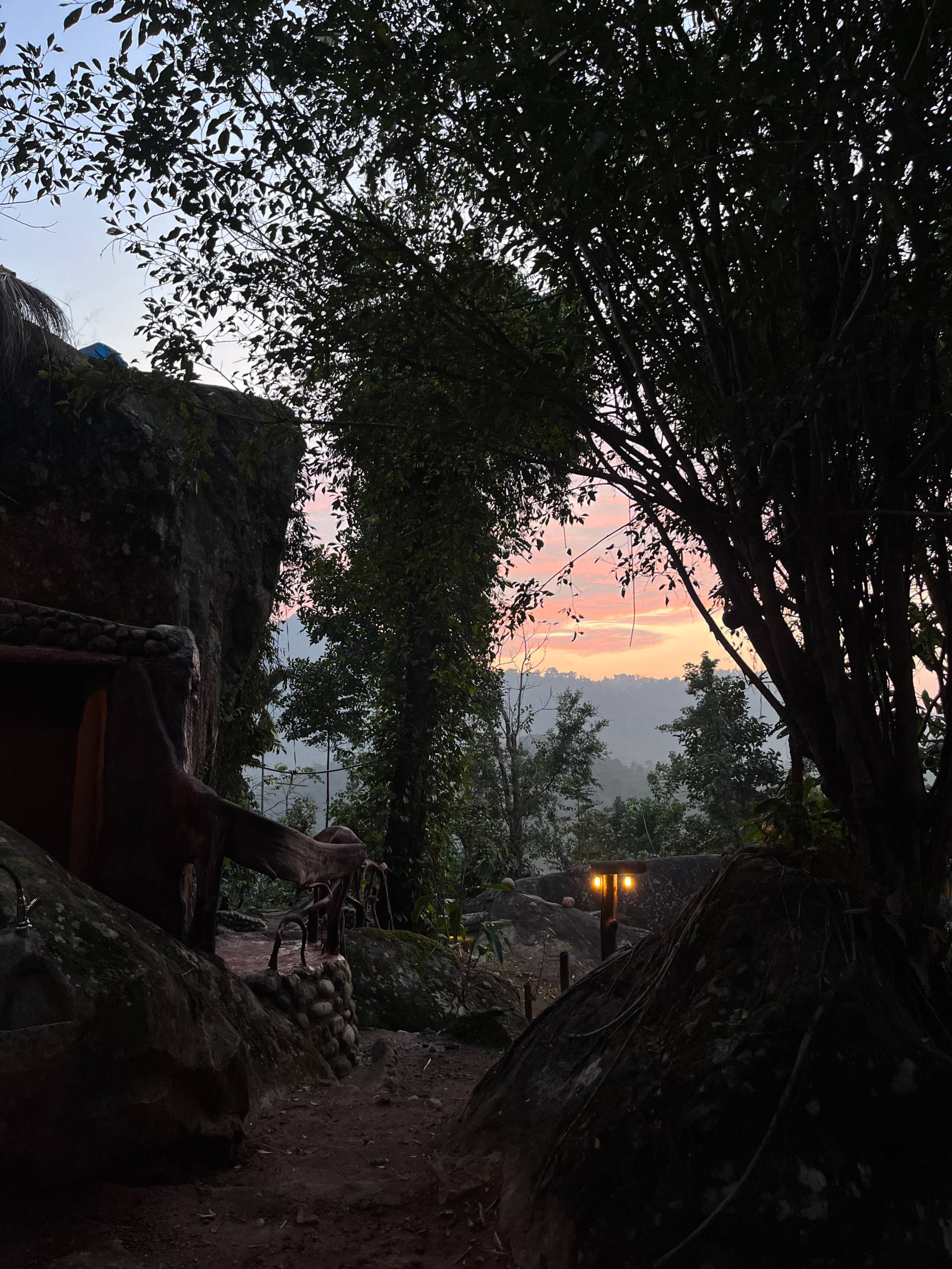 Munnar jungle stay wildmysteries 6