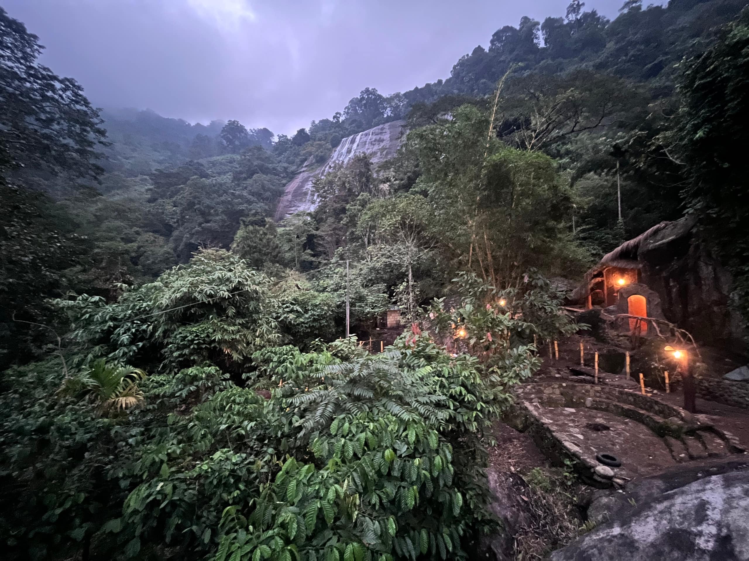 Munnar jungle stay wildmysteries 8