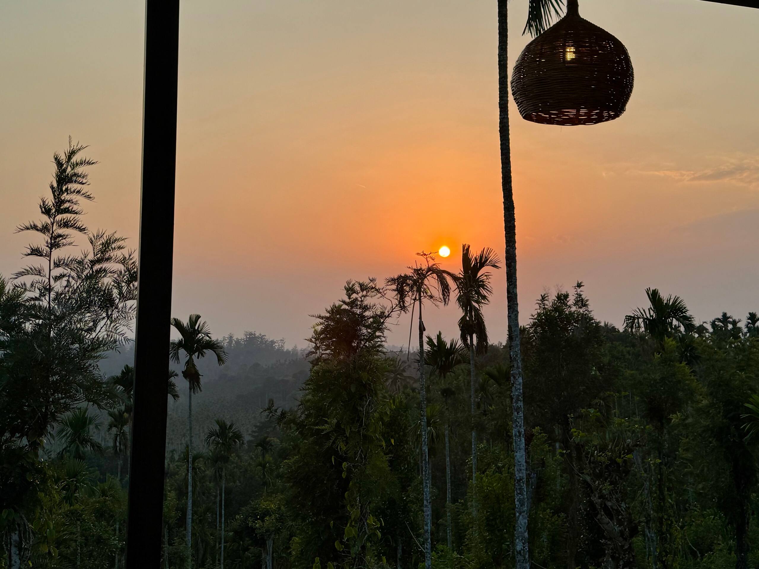 Neel Mohar 2