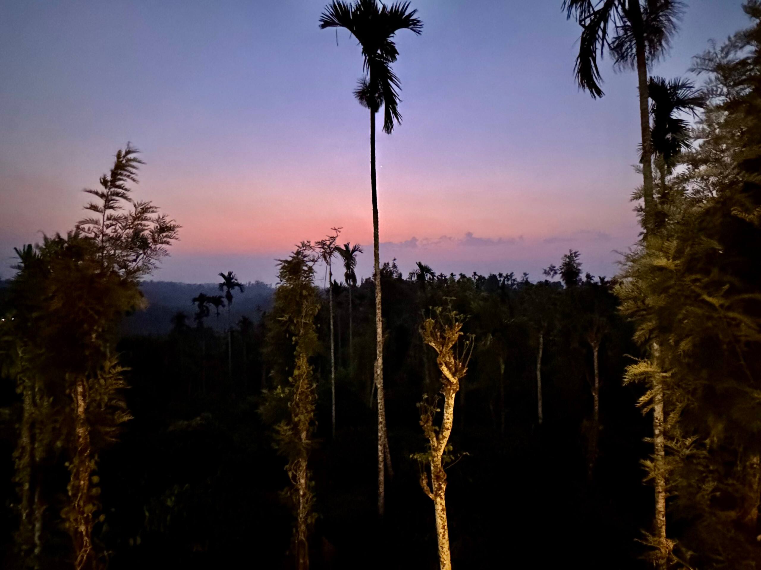 Neel Mohar 4