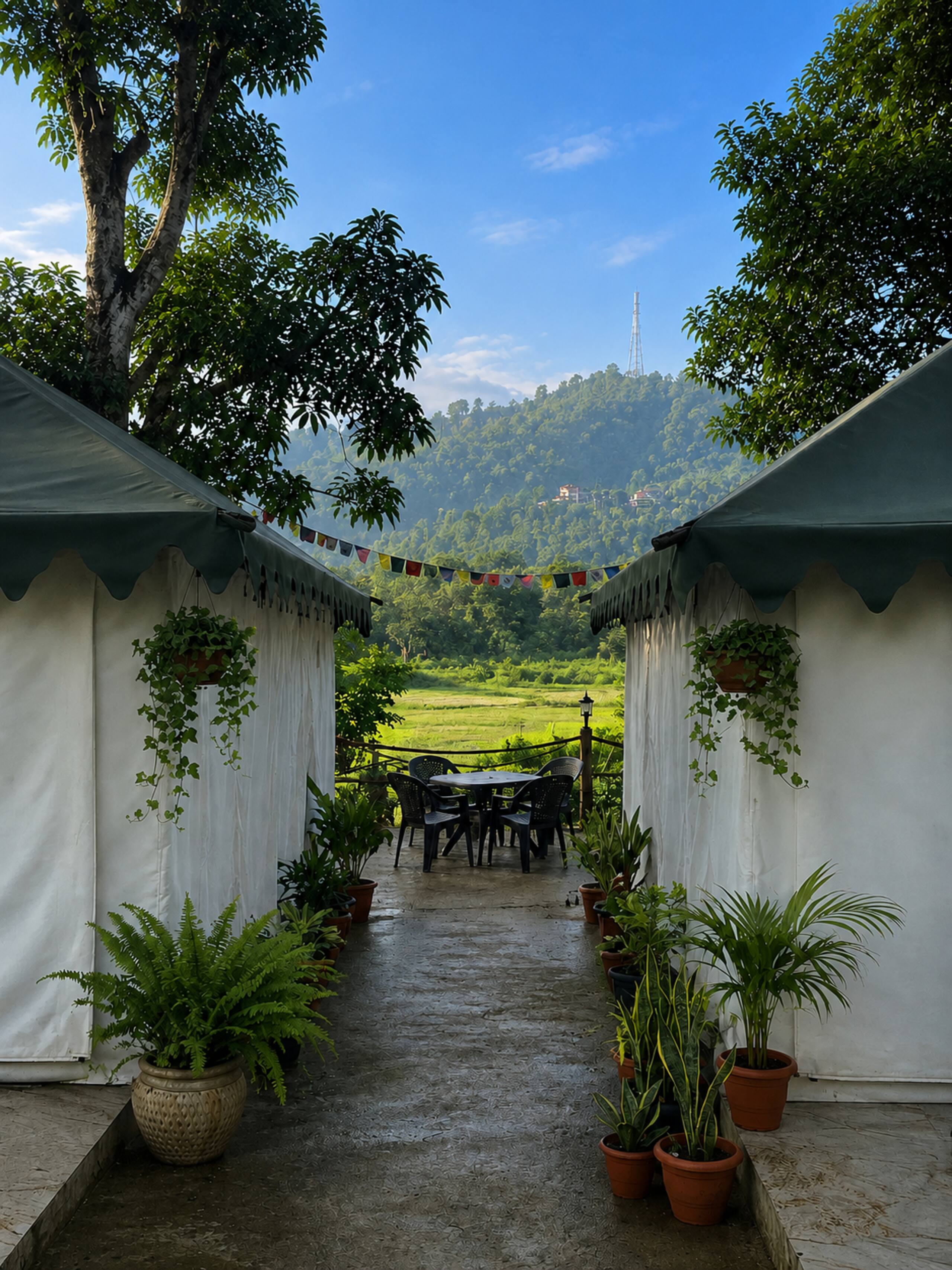 Tausco - Swiss Cottage with Mountain view - 2 — photo 3