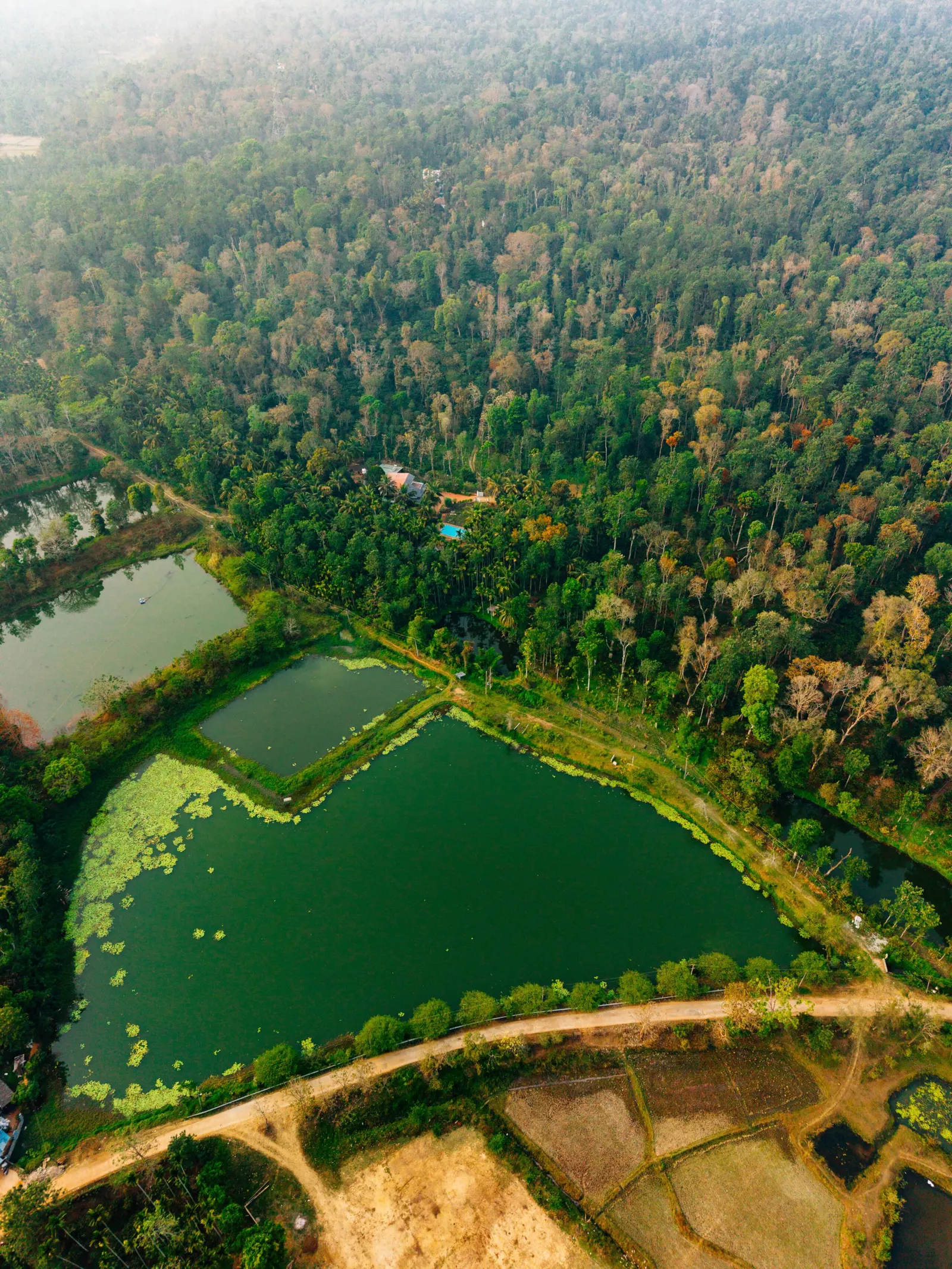 Bastians Veedu by Raho Hidden Jungle Villa 5