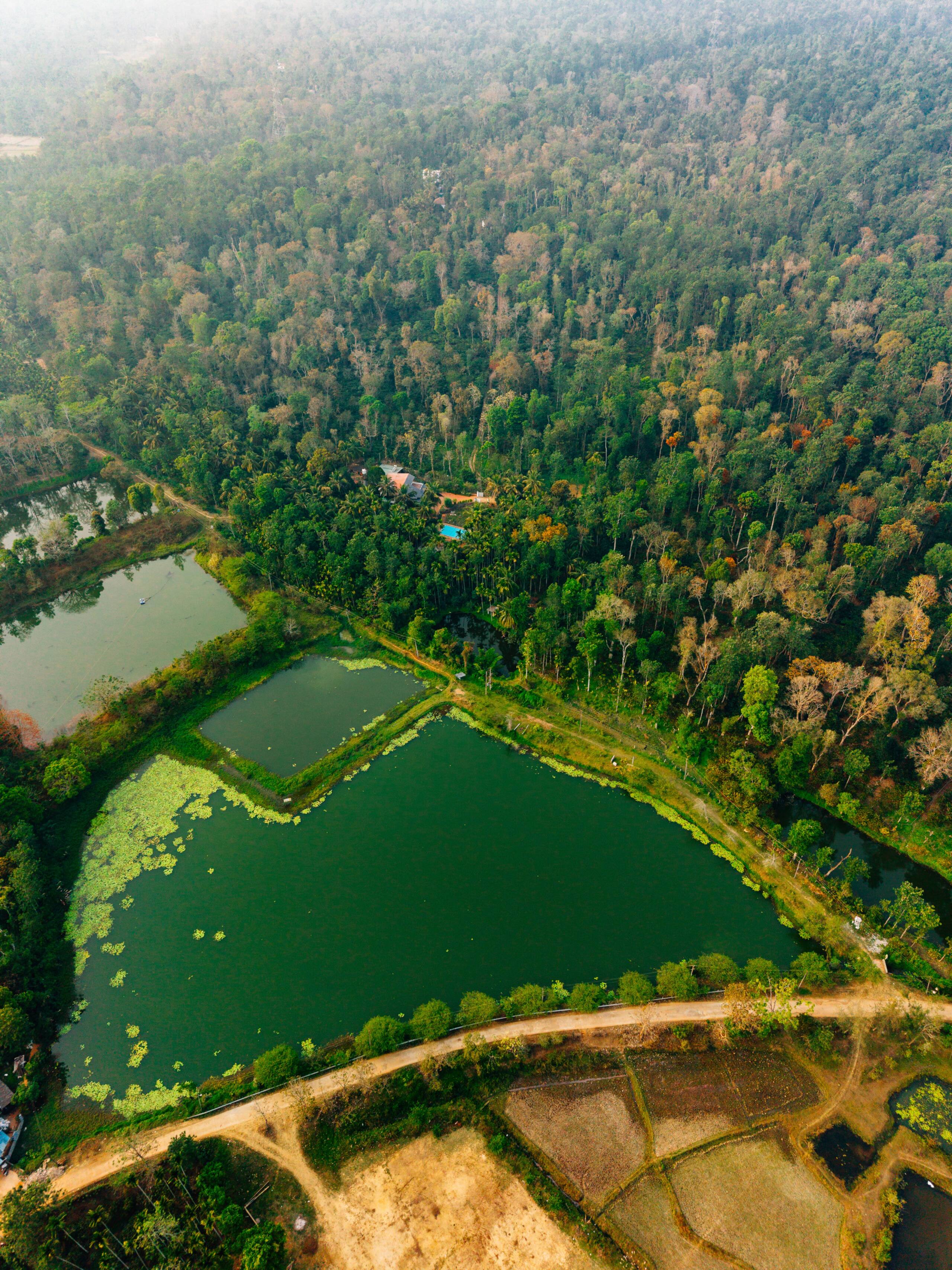 Bastians Veedu by Raho | Hidden Jungle Villa 5