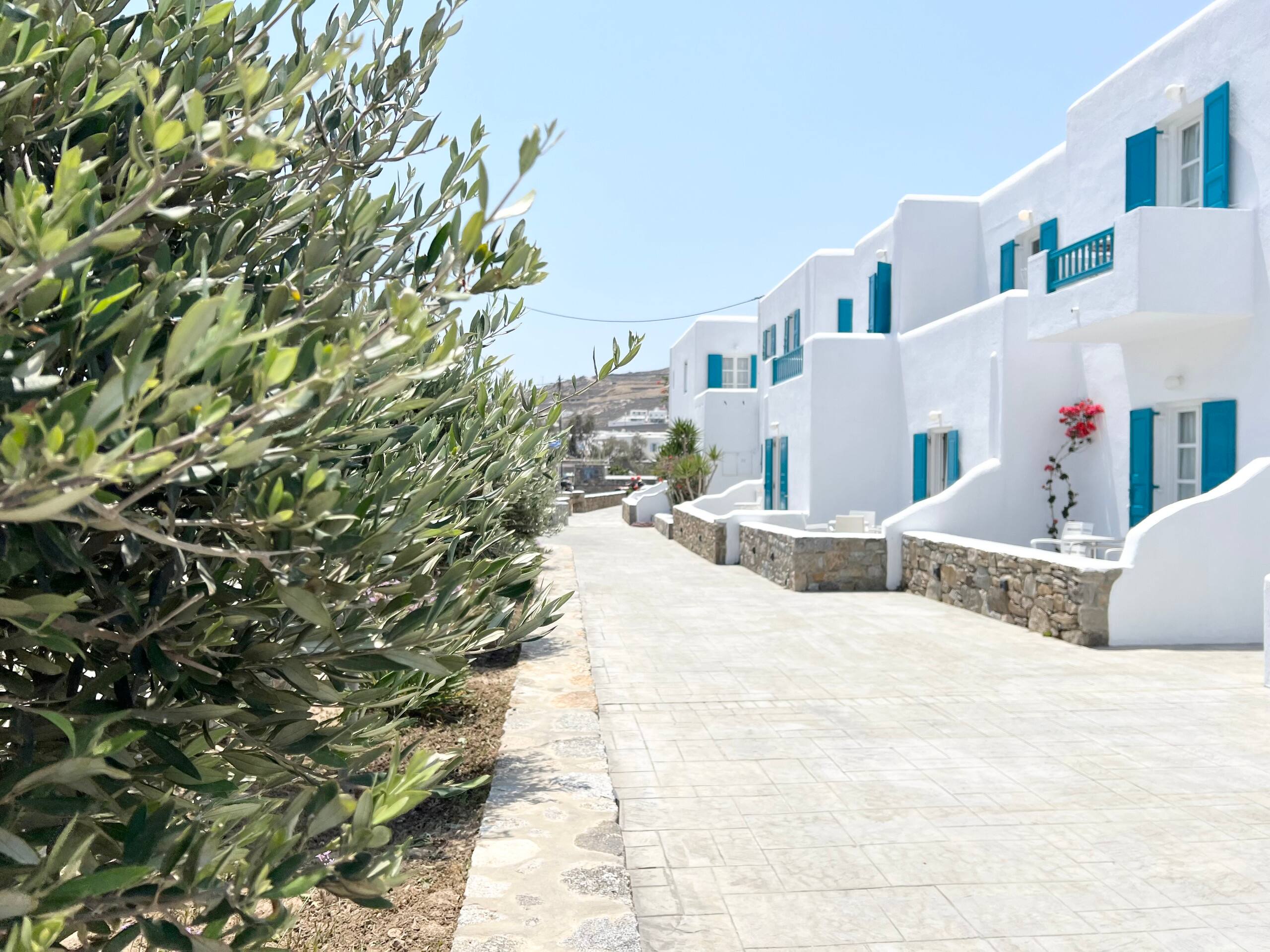 Apartment for 3 in Ornos - Steps from the Beach 15