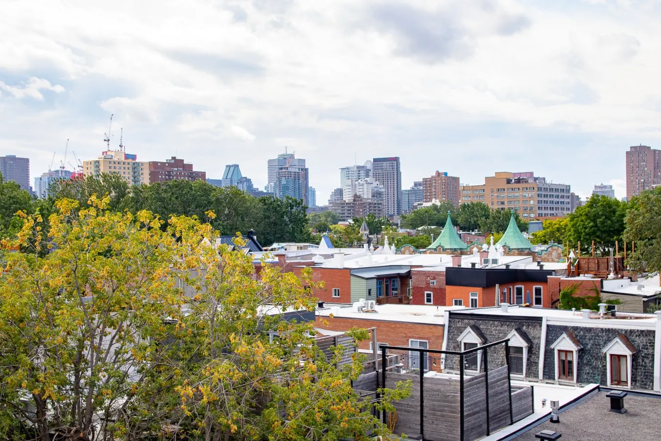 Zen/Rooftop/Terraces/Plateau/St-Denis/AC/TV 15