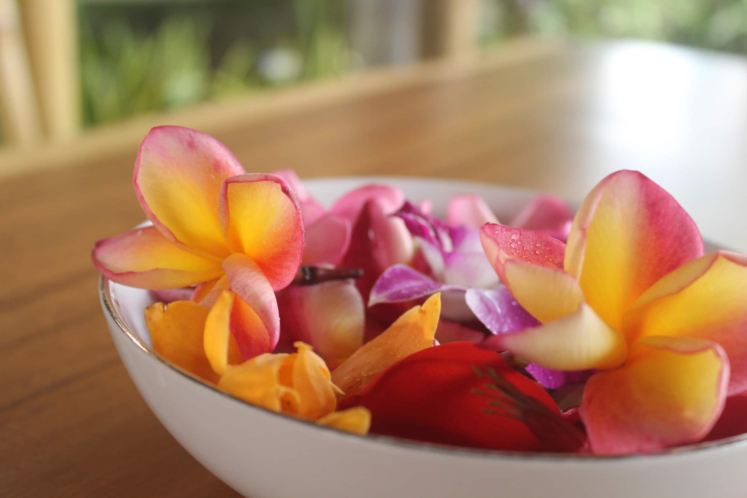 wooden house with private Pool and kitchen_2BDR 23