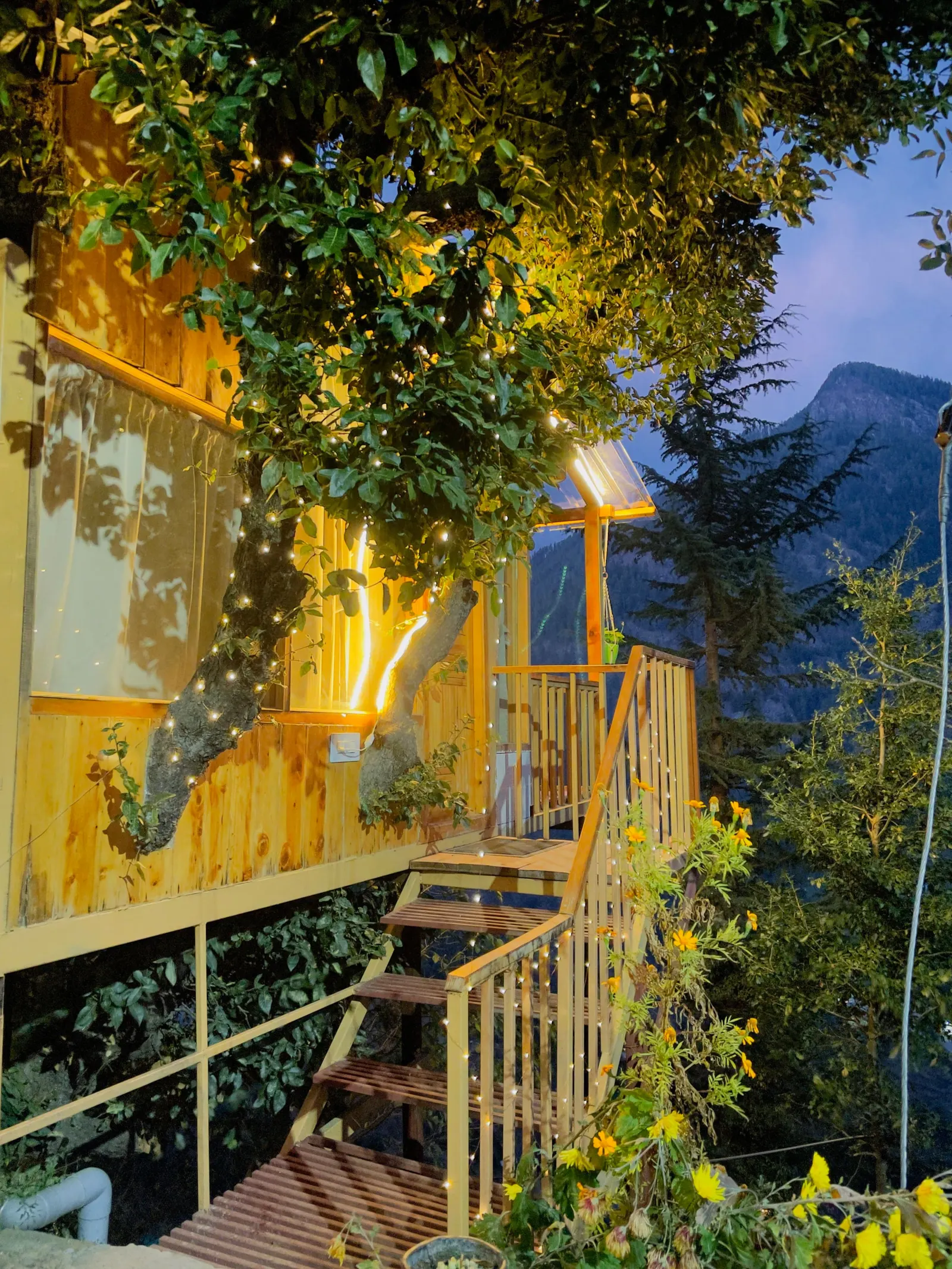 Latoda The Tree House Jibhi,The Tree Cottage Jibhi 8