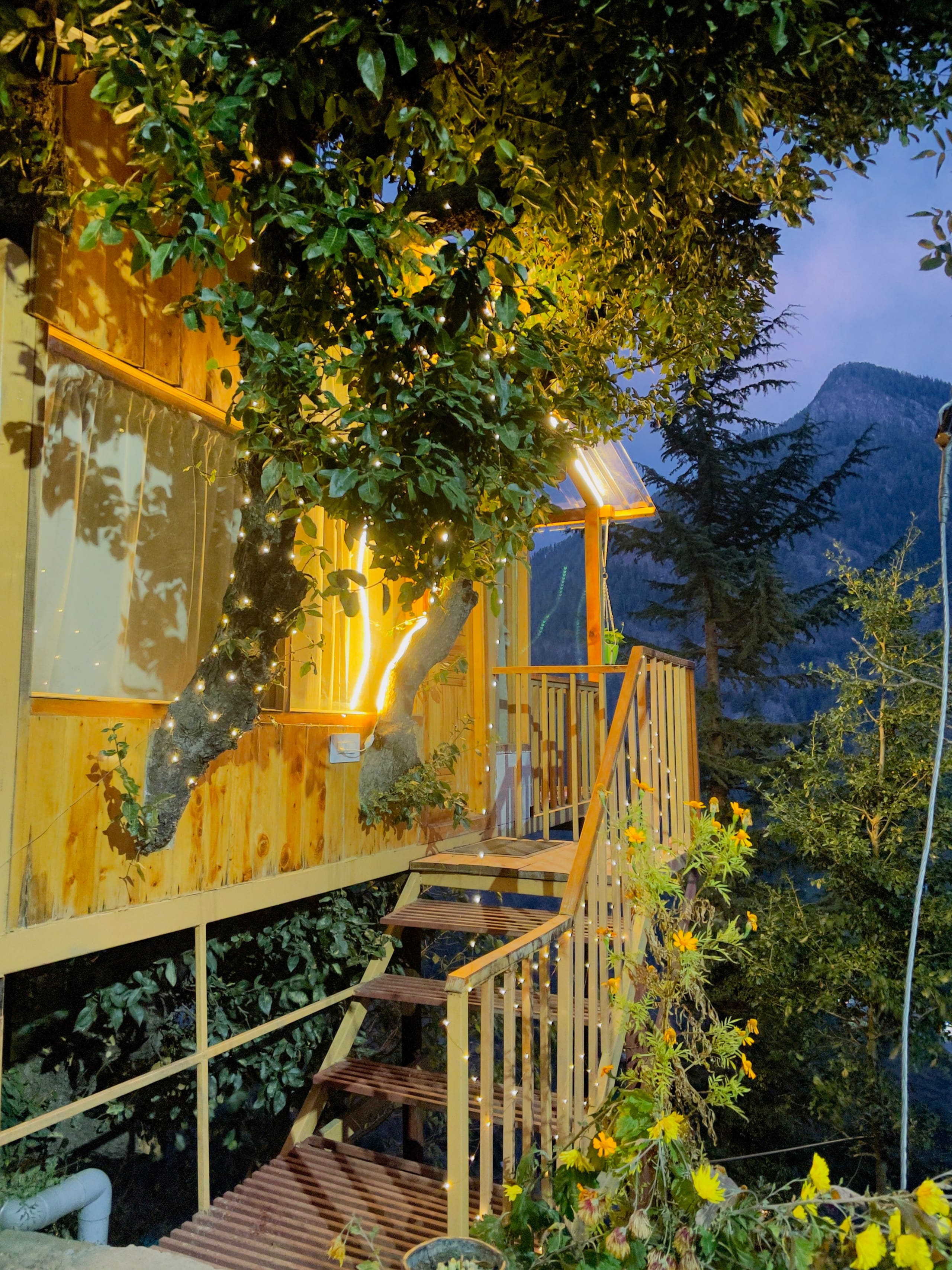 Latoda The Tree House Jibhi,The Tree Cottage Jibhi 8
