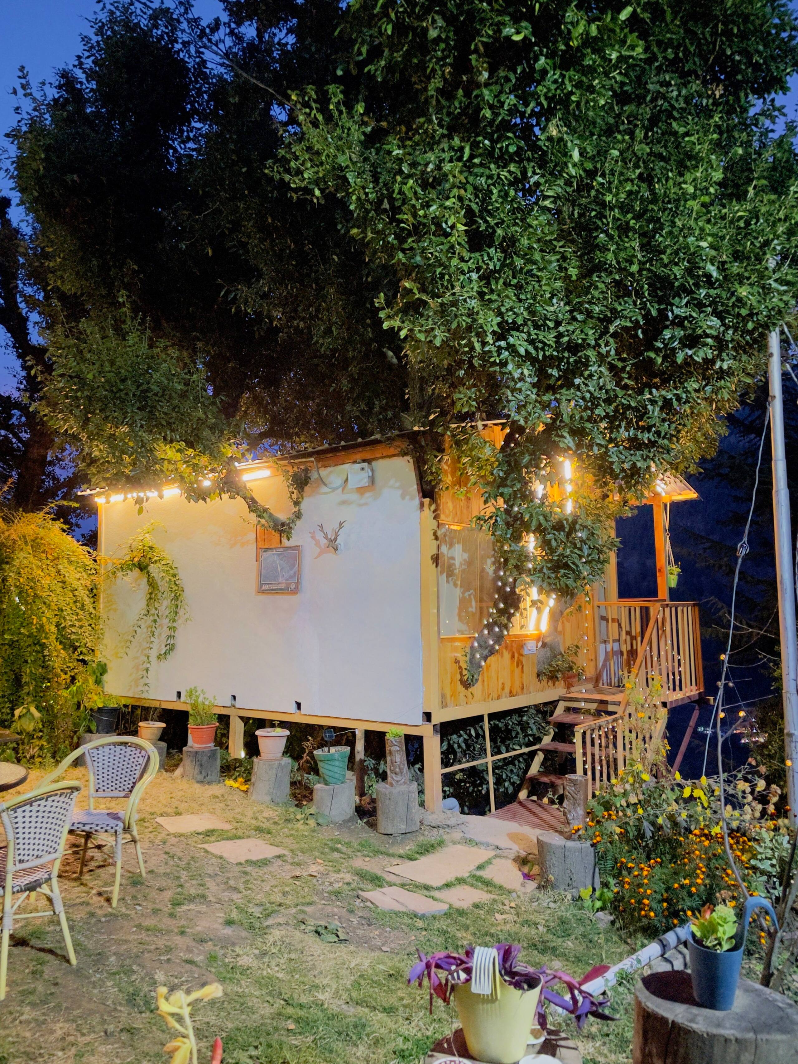 Latoda The Tree House Jibhi,The Tree Cottage Jibhi 9