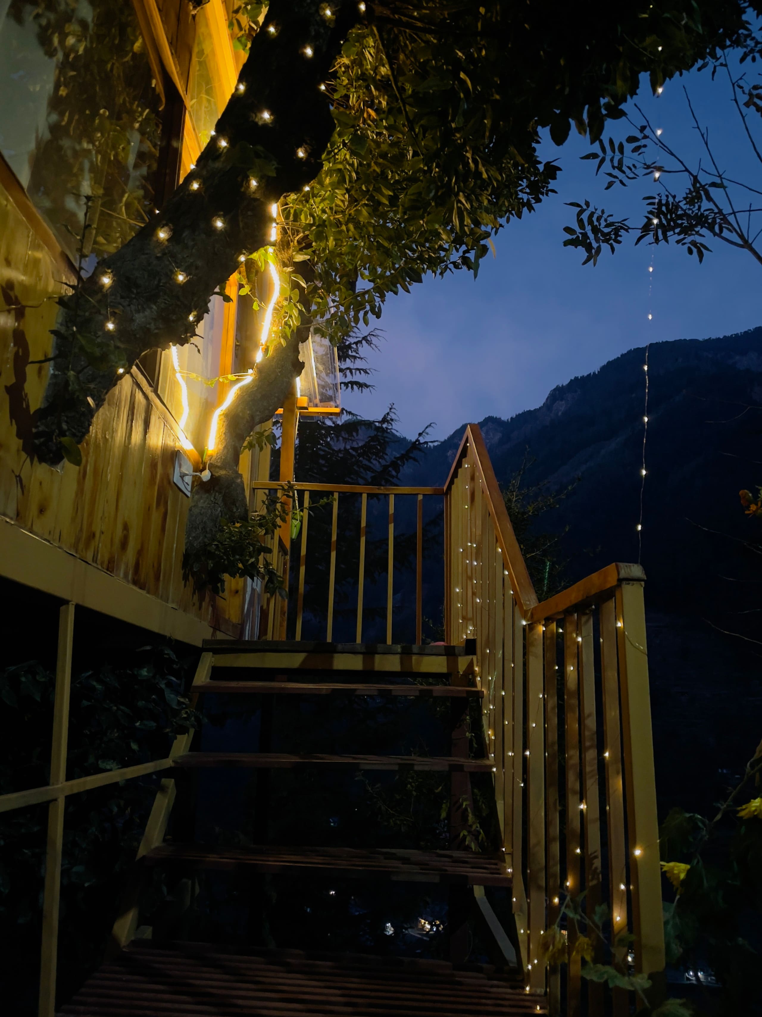 Latoda The Tree House Jibhi,The Tree Cottage Jibhi 7
