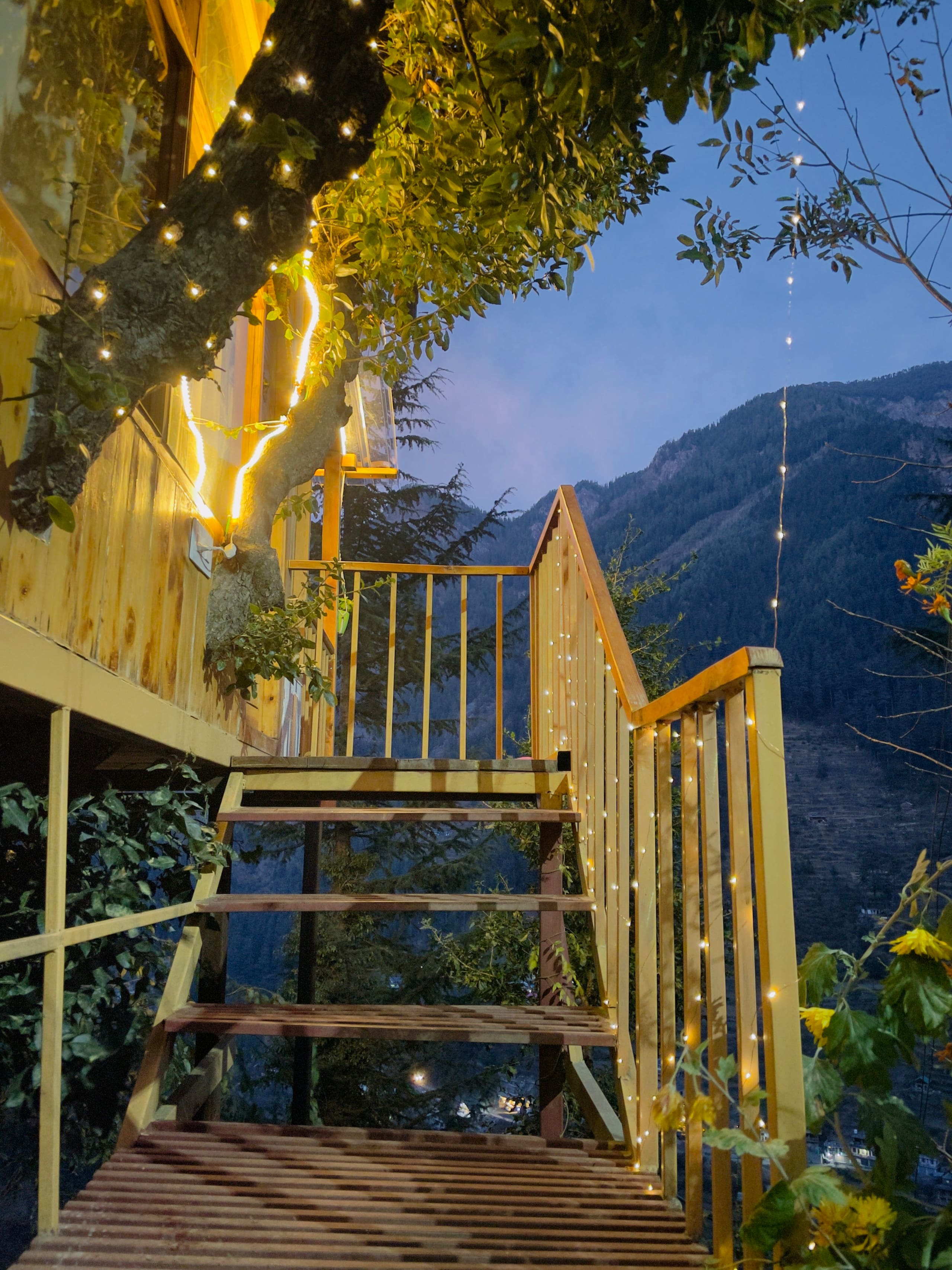 Latoda The Tree House Jibhi,The Tree Cottage Jibhi — photo 5