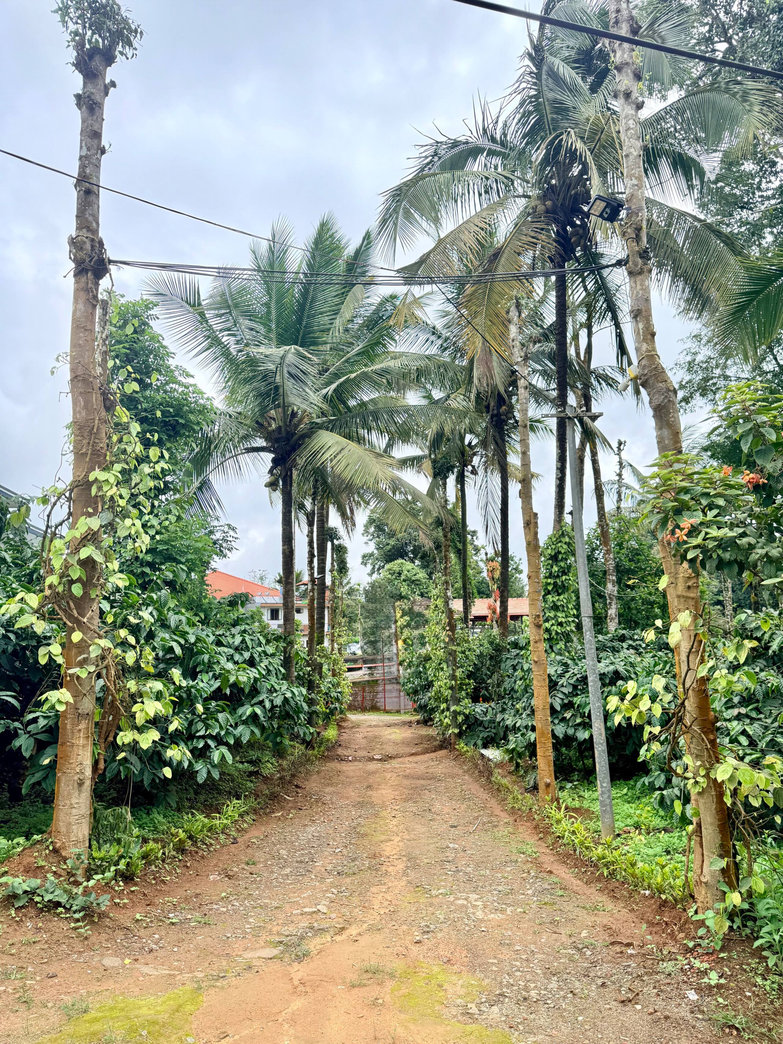 Kaveri Cottage — Belli's Heritage Home 16