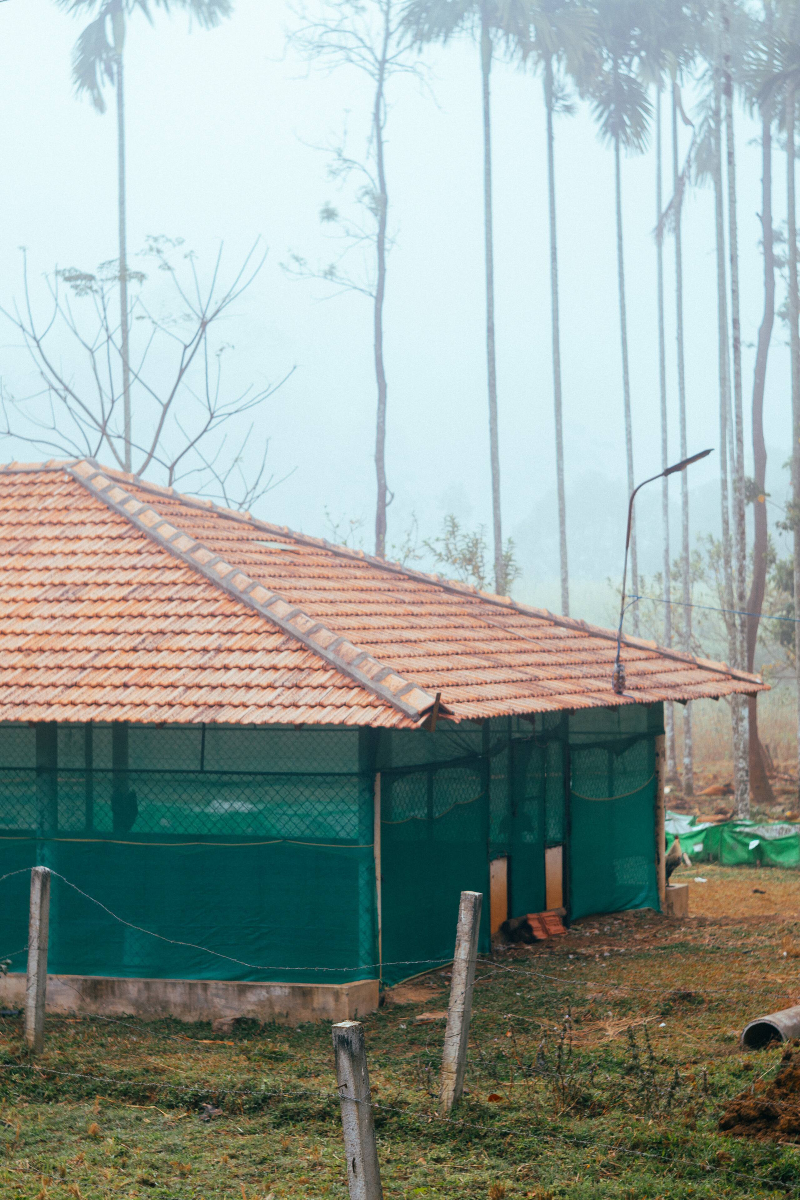 Maldare Days Cottage by Raho | Private Jungle Stay 29