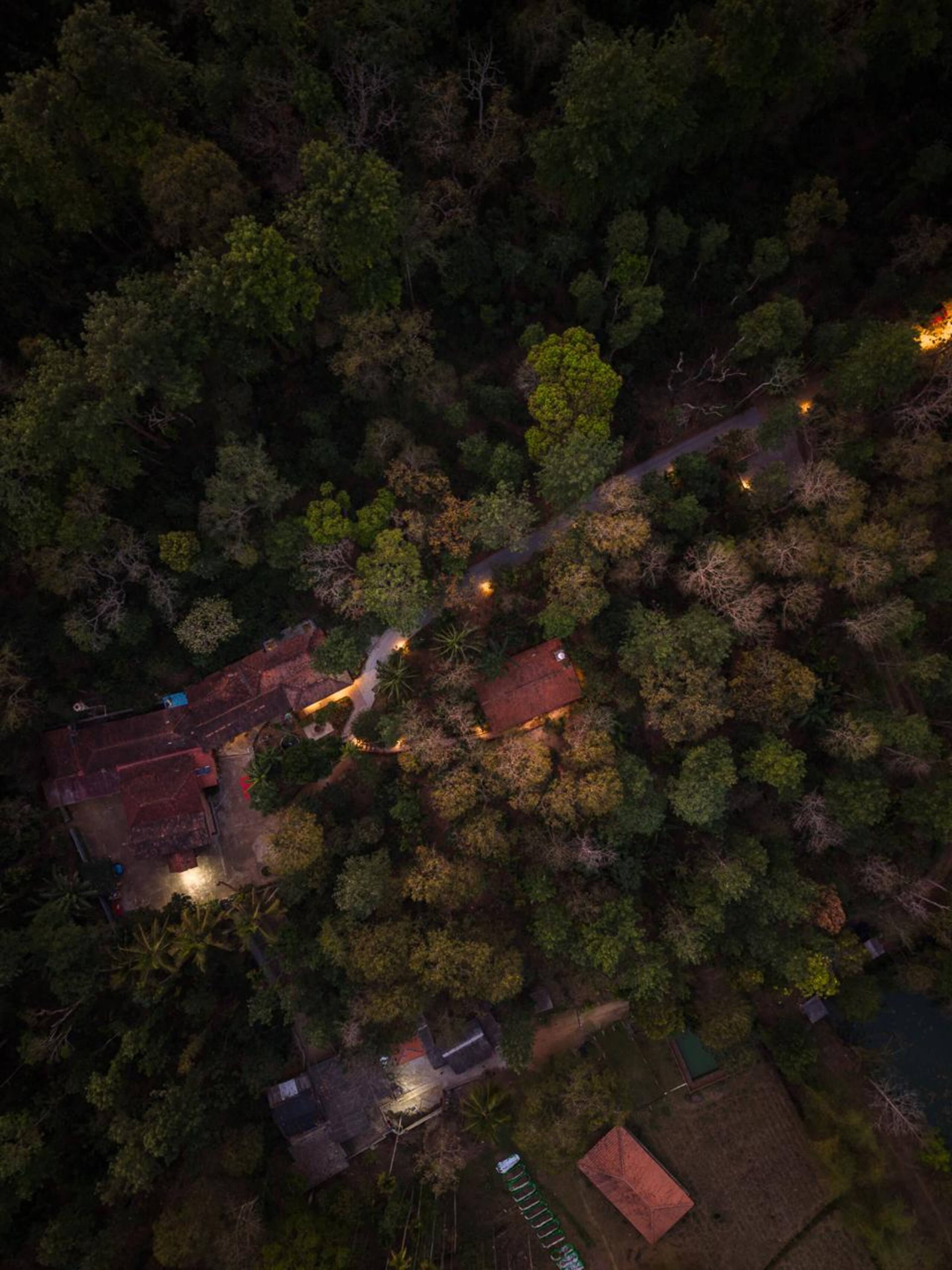 Maldare Days Cottage by Raho | Private Jungle Stay 5