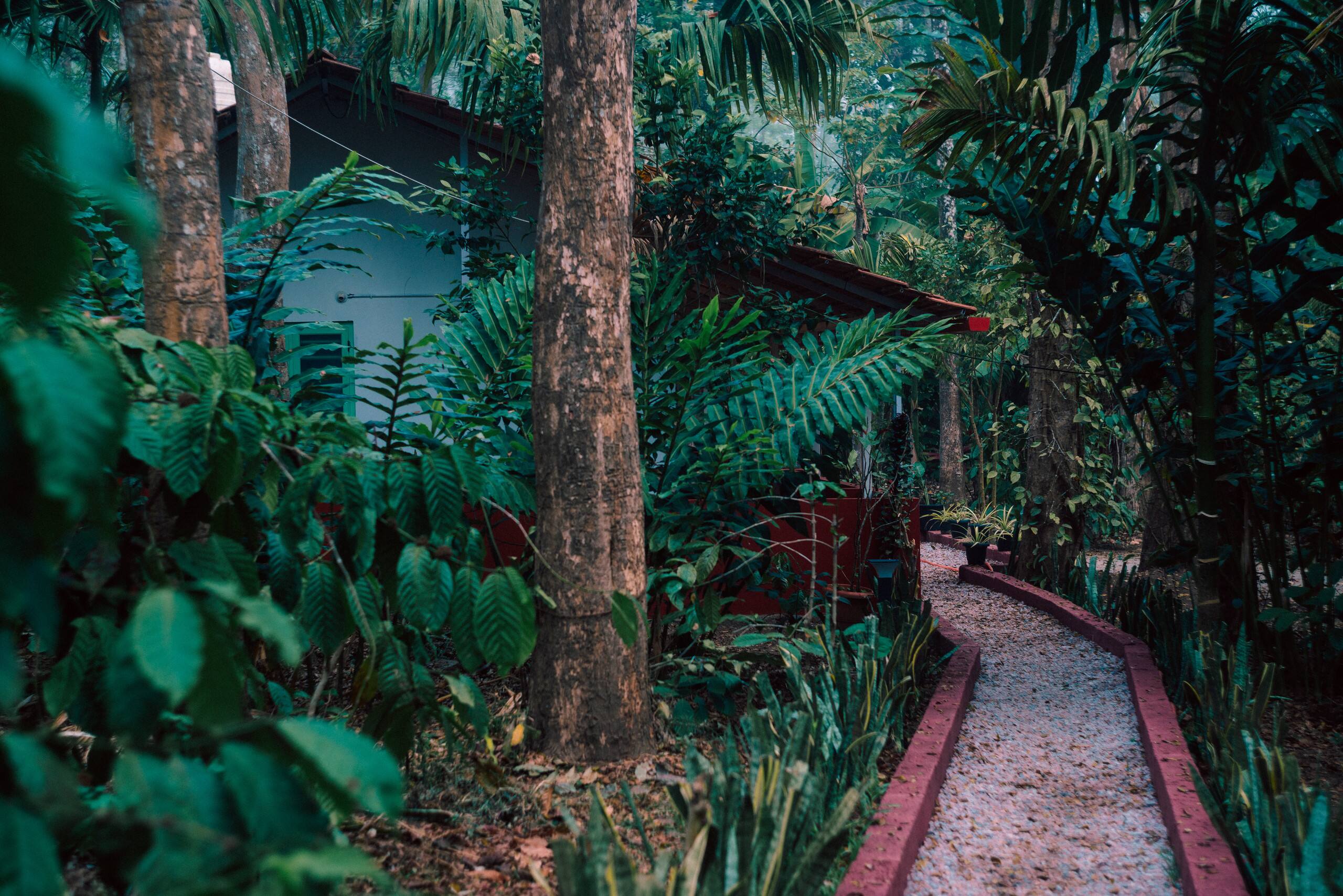 Maldare Days Cottage by Raho | Private Jungle Stay 2