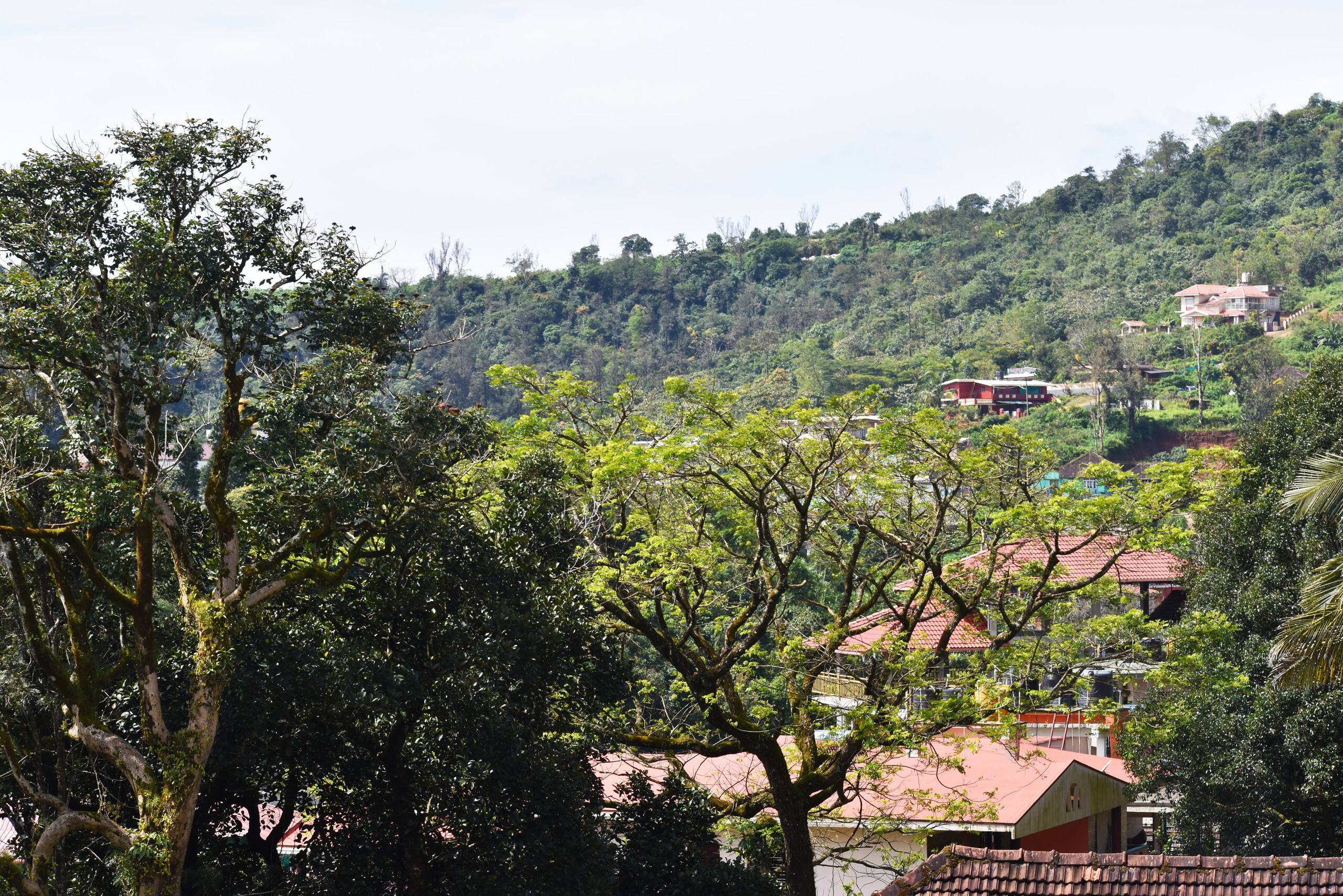 Srishti Homestay 29