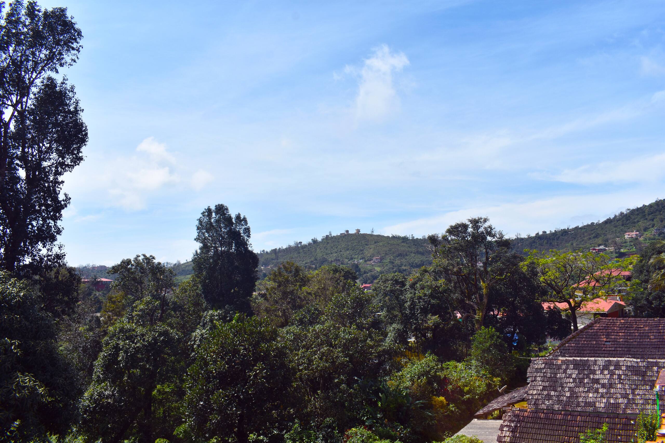 Srishti Homestay 31