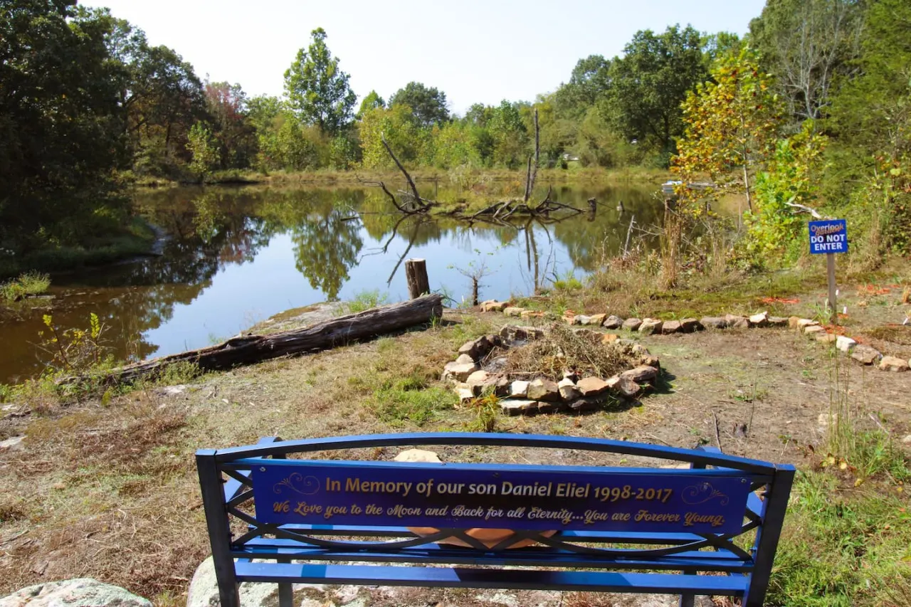 Bluebird Estate — photo 3