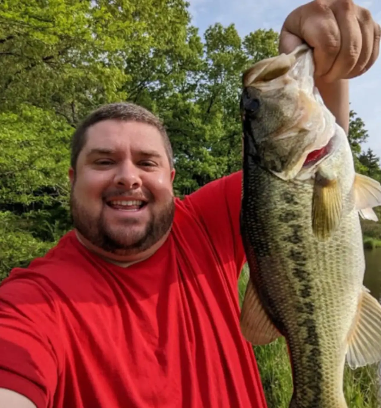 Bluebird Estate — photo 5
