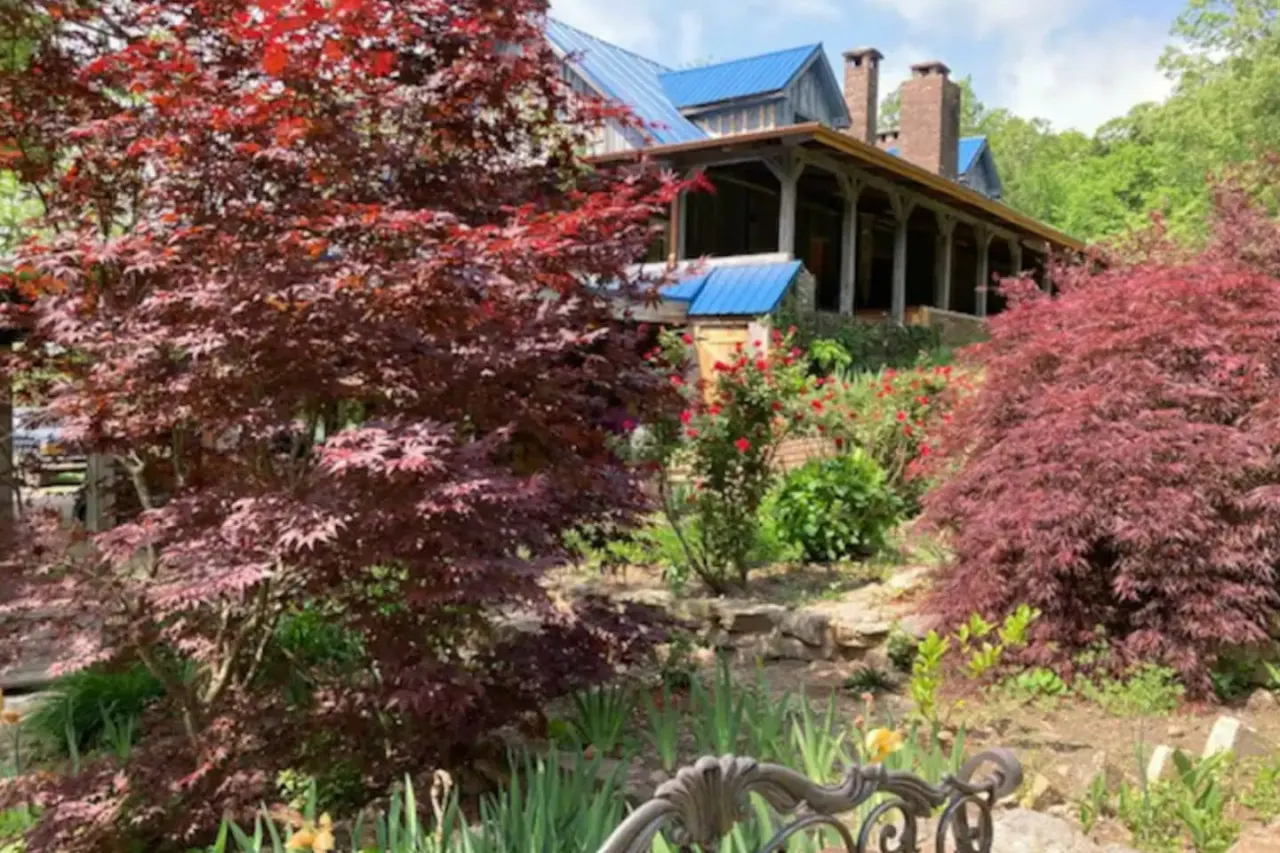 Bluebird Estate 7