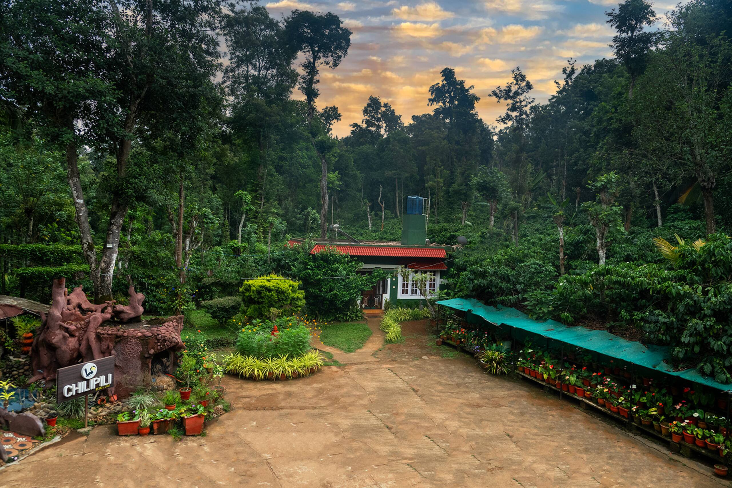 Nature experience with cozy vibe 9