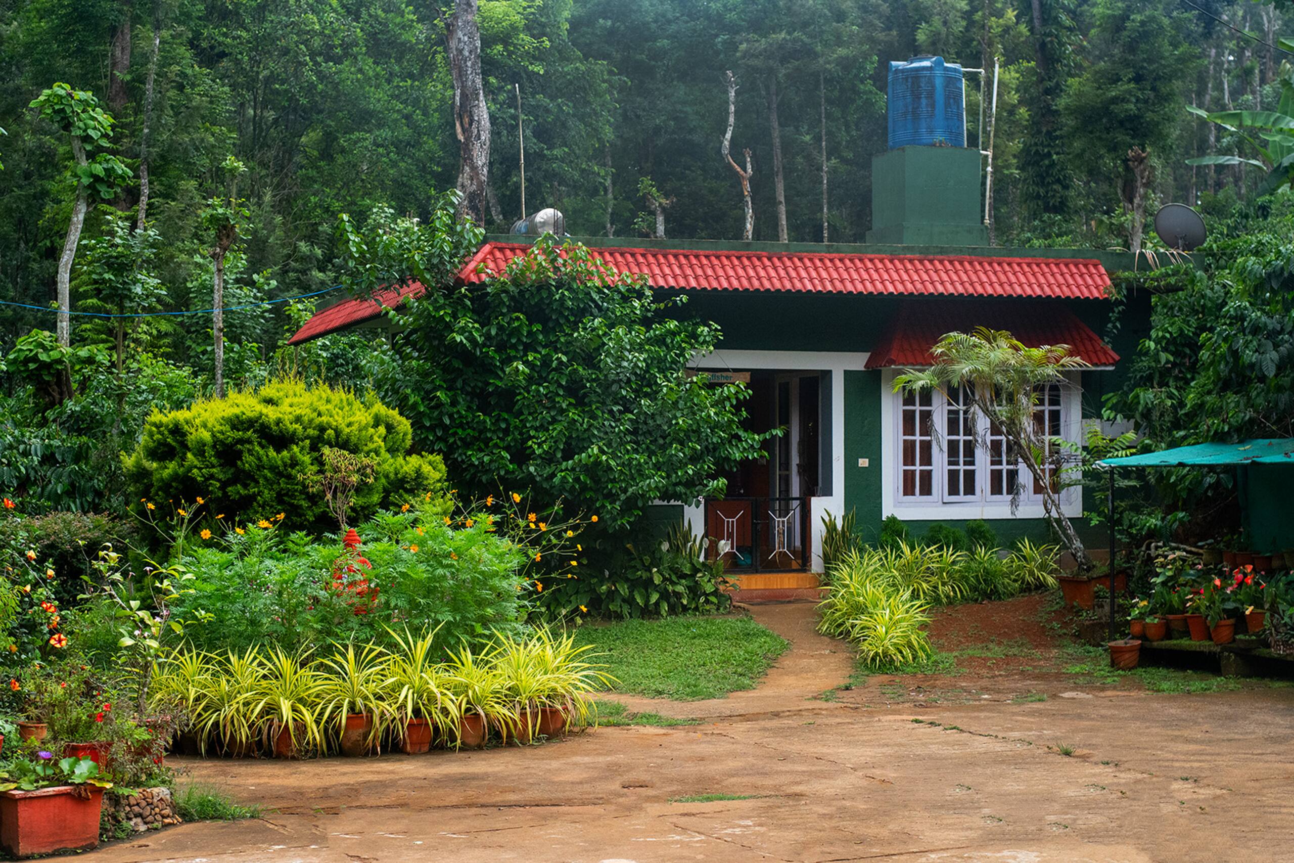 Nature experience with cozy vibe 7