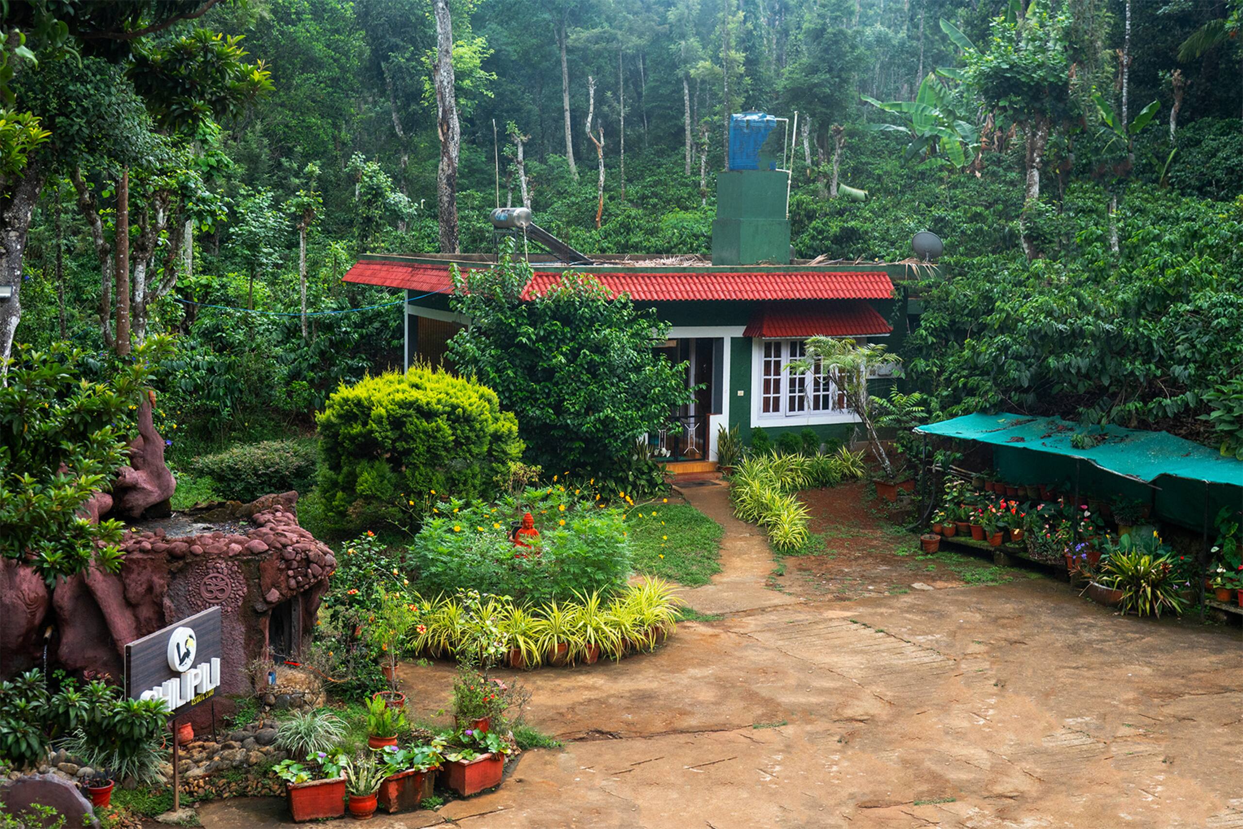 Nature experience with cozy vibe 8